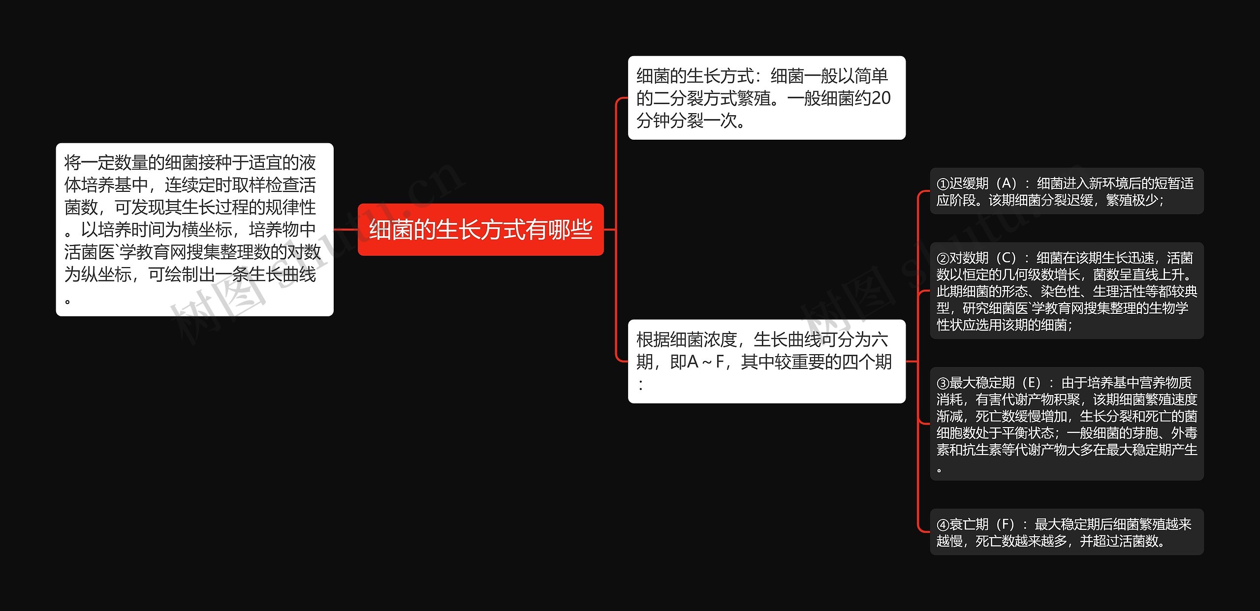 细菌的生长方式有哪些思维导图