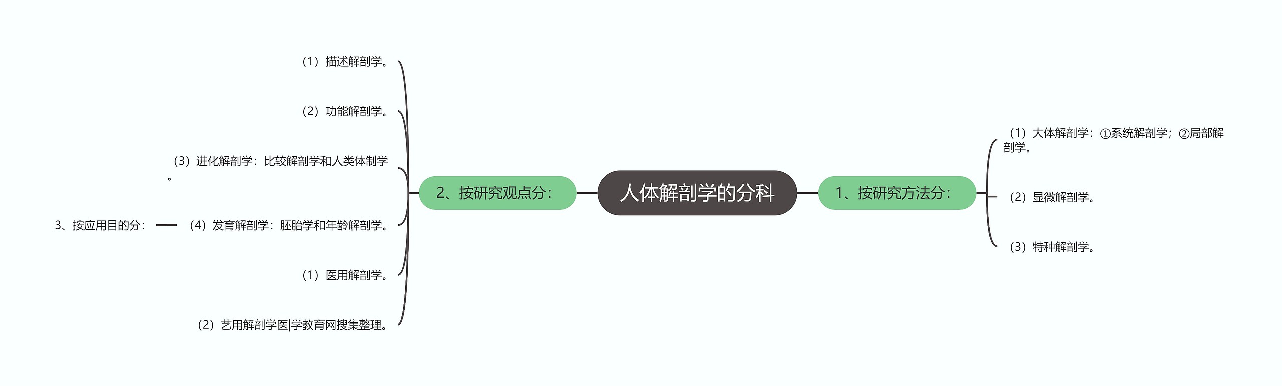 人体解剖学的分科 人体解剖学的分科