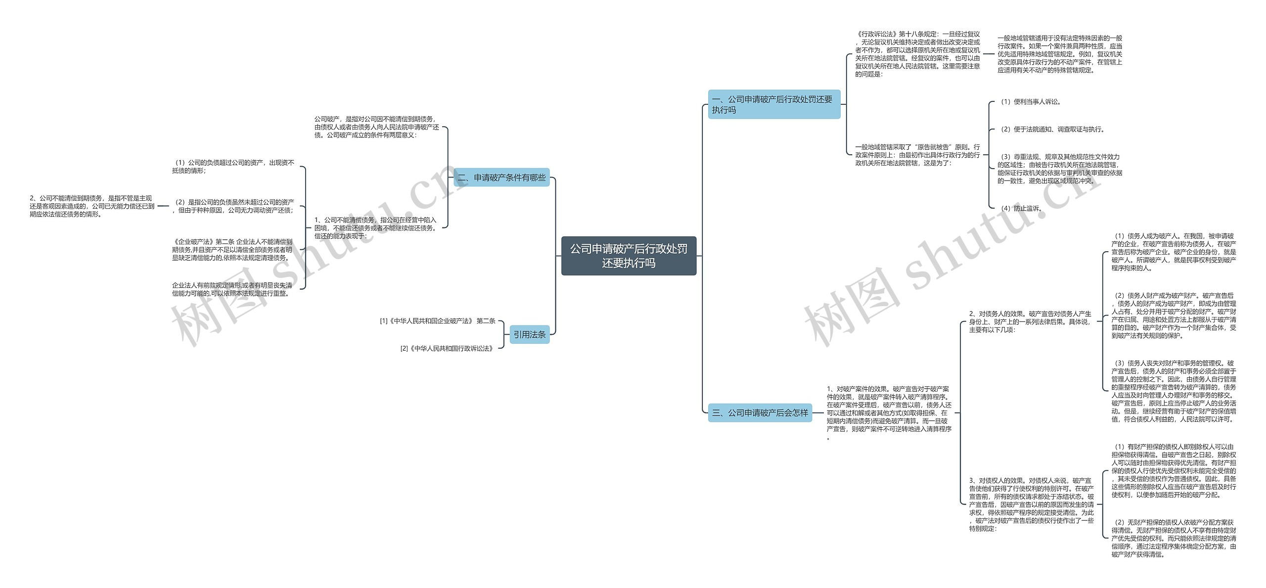 公司申请破产后行政处罚还要执行吗思维导图