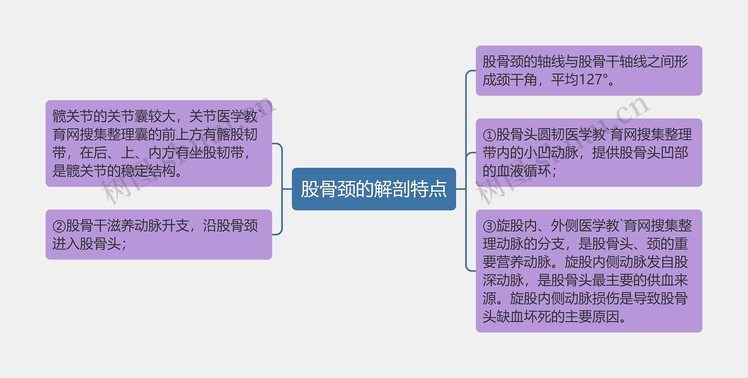 股骨颈的解剖特点思维导图