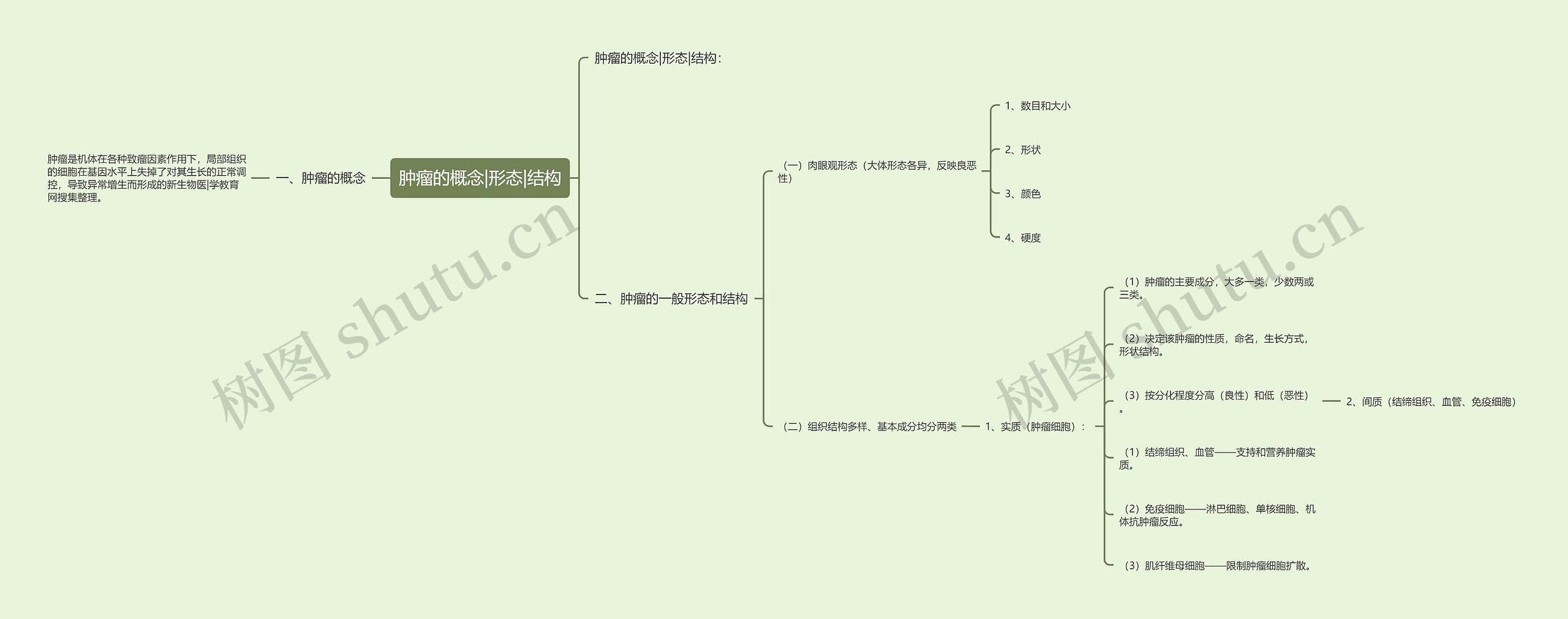 肿瘤的概念|形态|结构