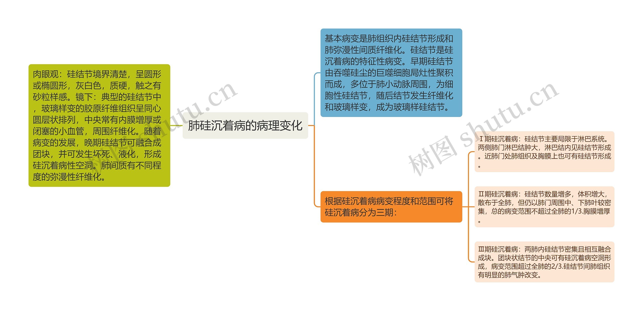 肺硅沉着病的病理变化思维导图