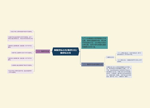 胸腹部标志线/腹部分区/腹部标志线