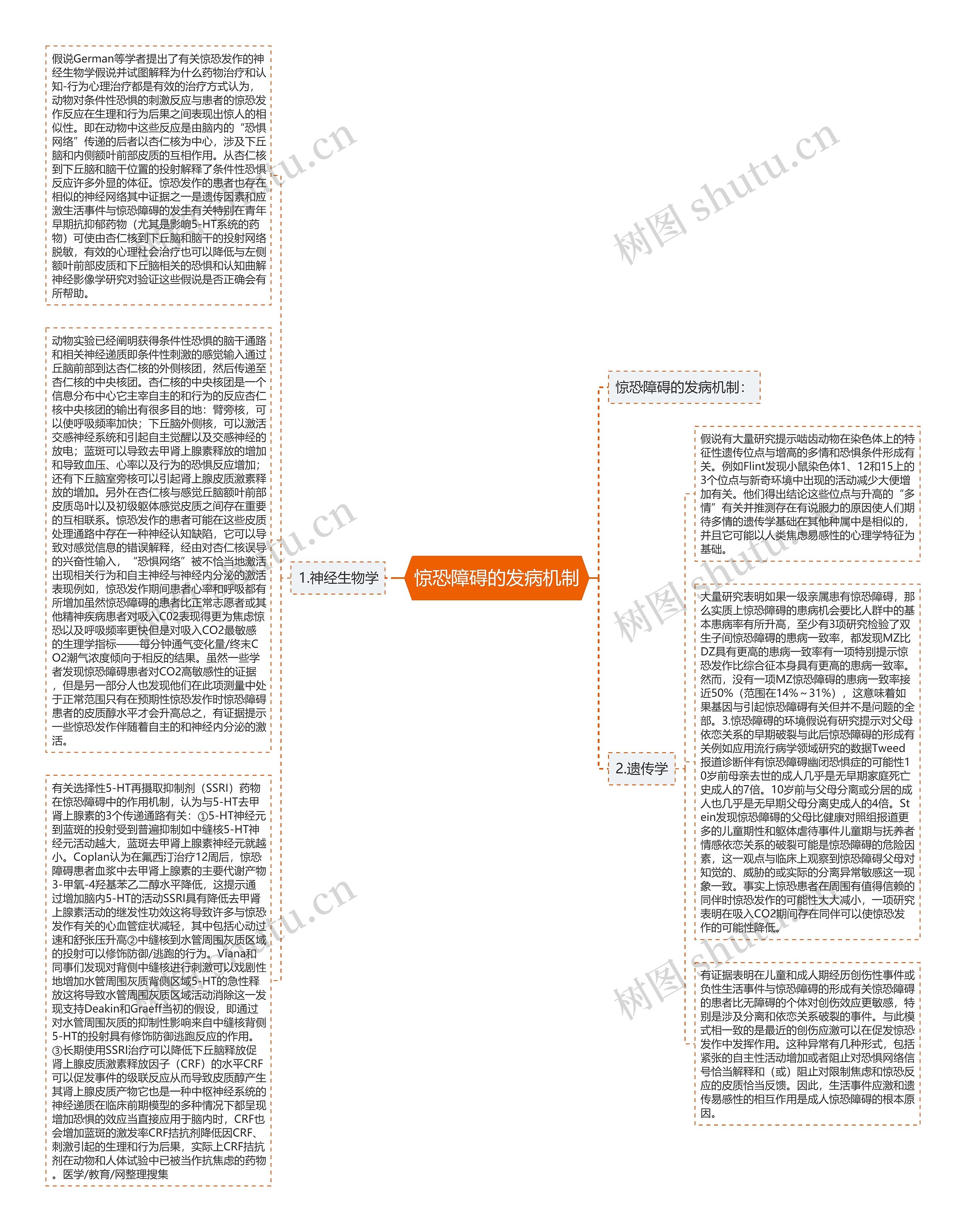 惊恐障碍的发病机制思维导图