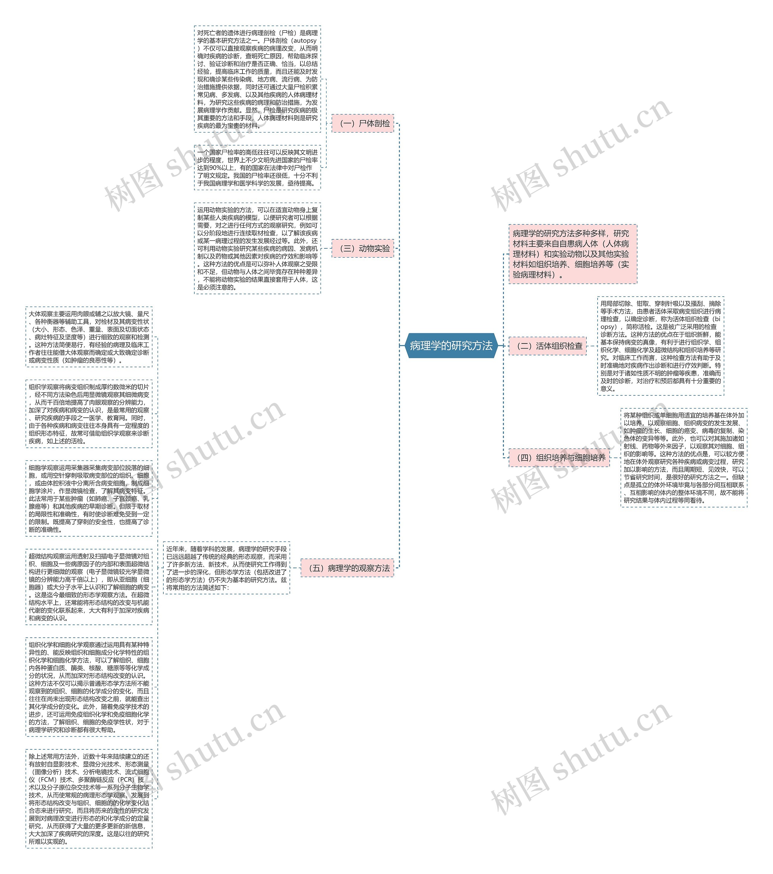 病理学的研究方法思维导图