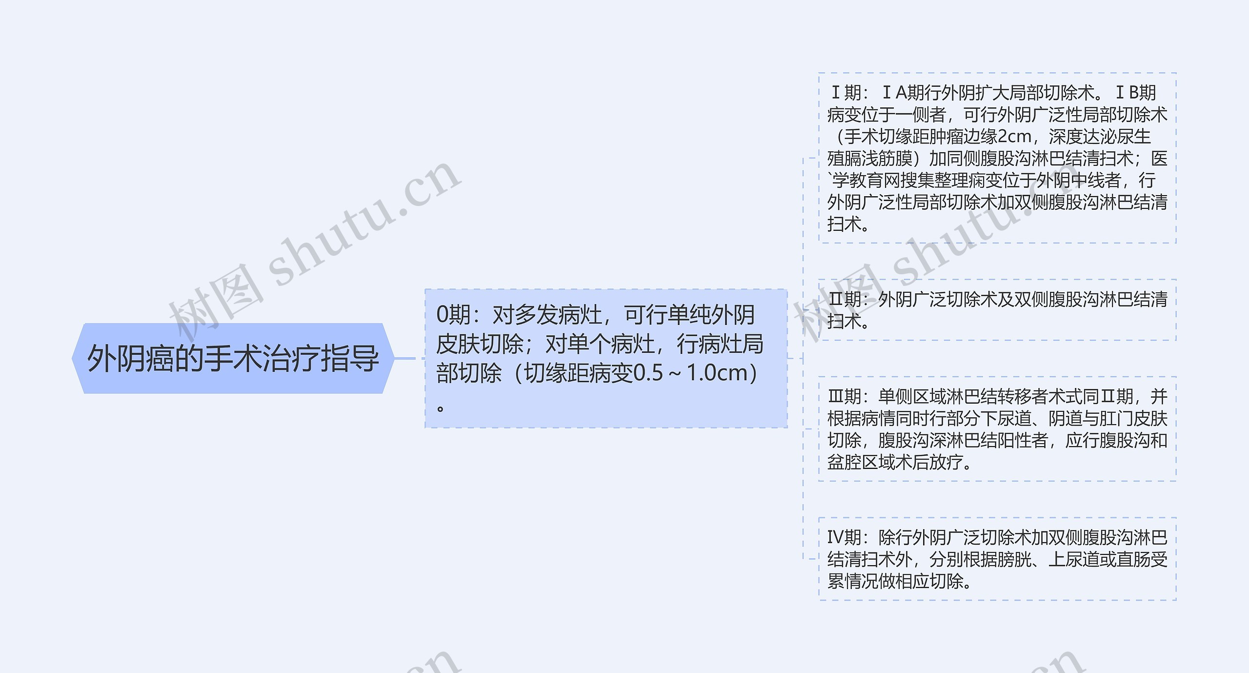 外阴癌的手术治疗指导思维导图