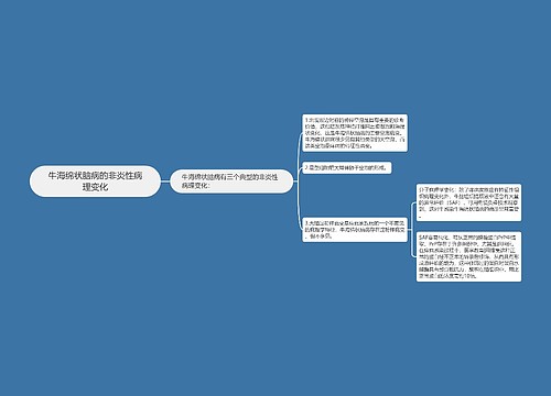 牛海绵状脑病的非炎性病理变化