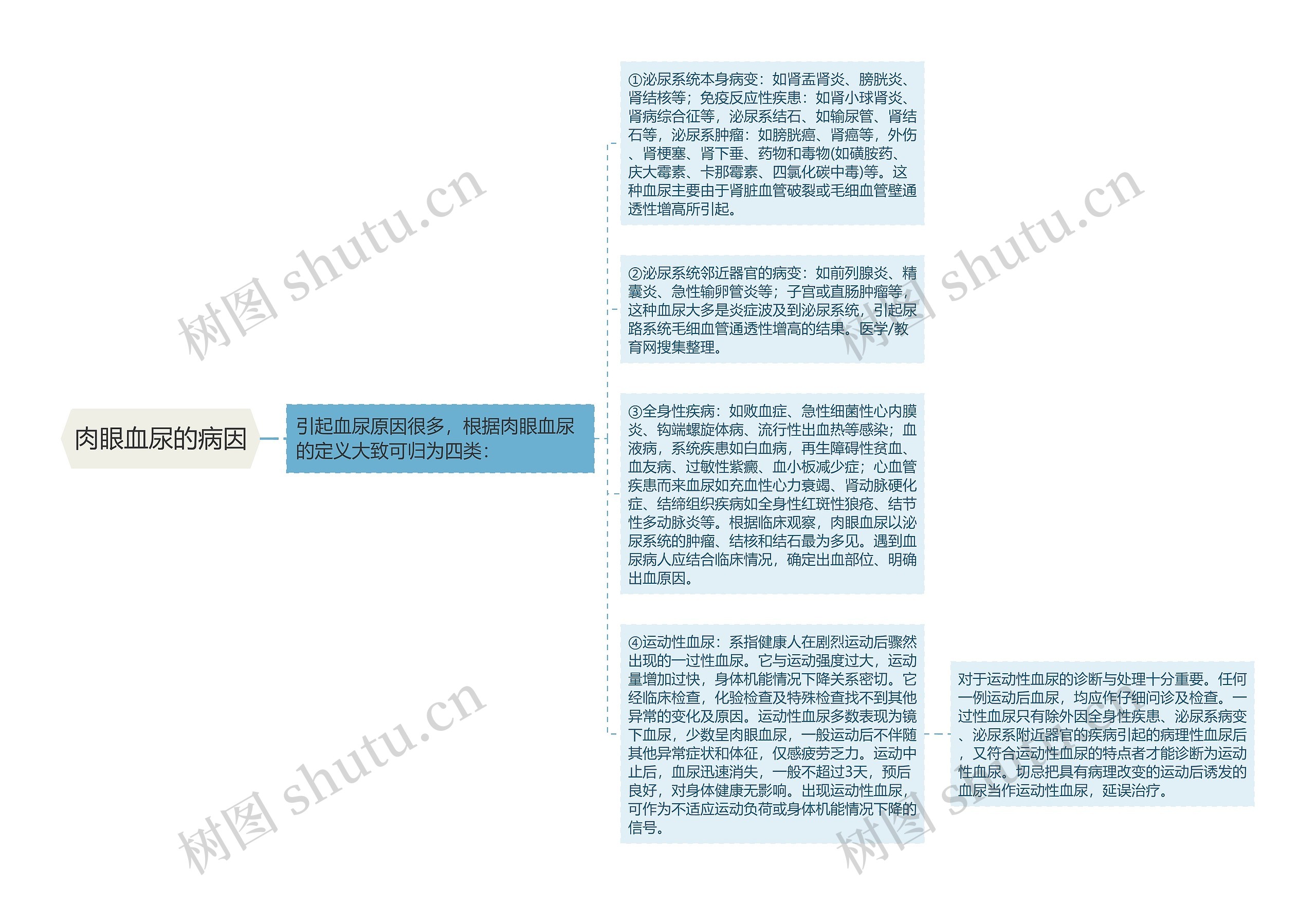 肉眼血尿的病因思维导图