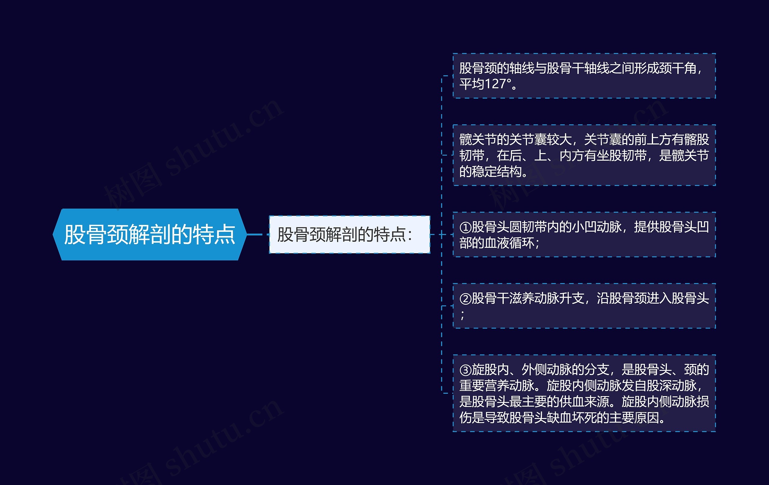 股骨颈解剖的特点