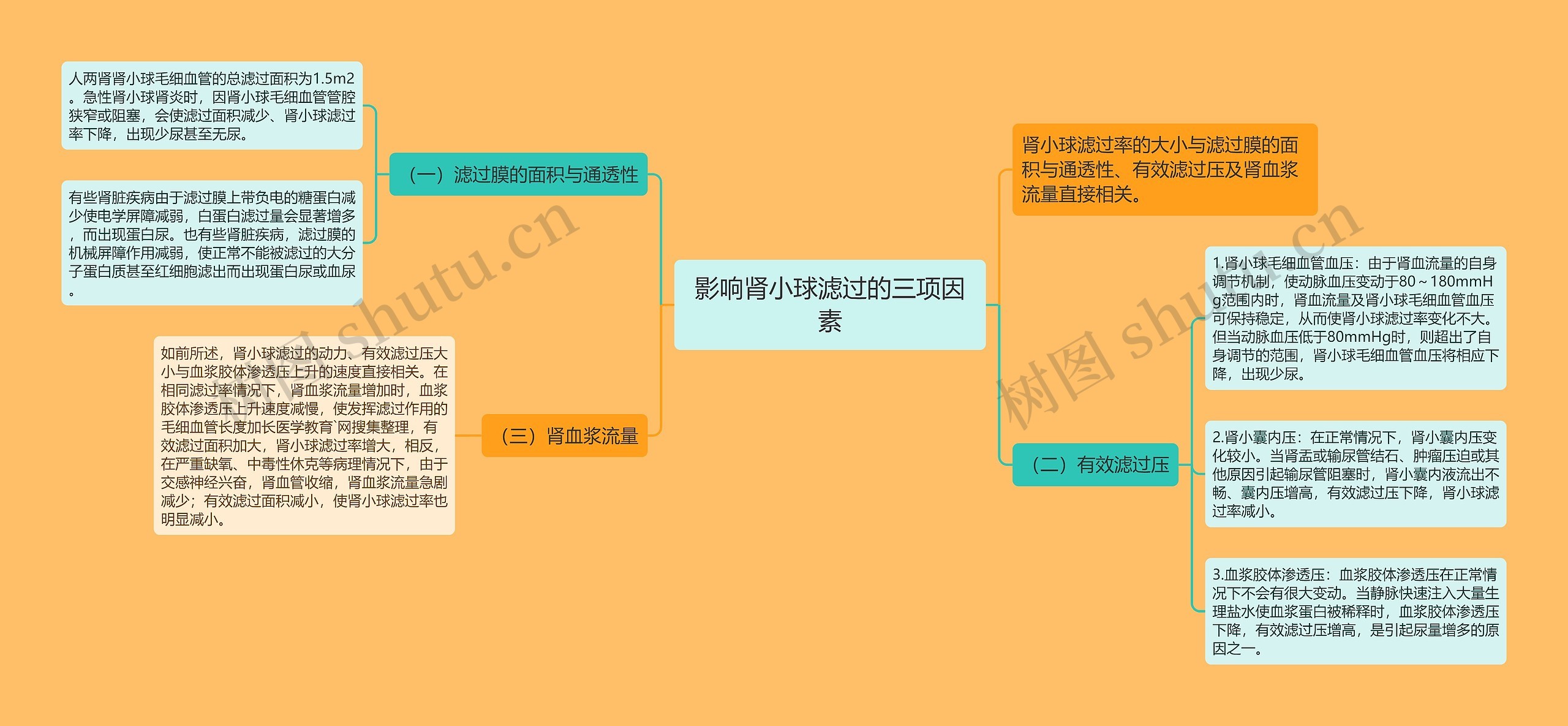 影响肾小球滤过的三项因素