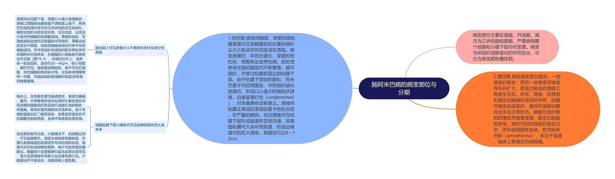 肠阿米巴病的病变部位与分期 肠阿米巴病的病变部位与分期