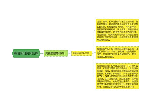 胸腰筋膜的结构