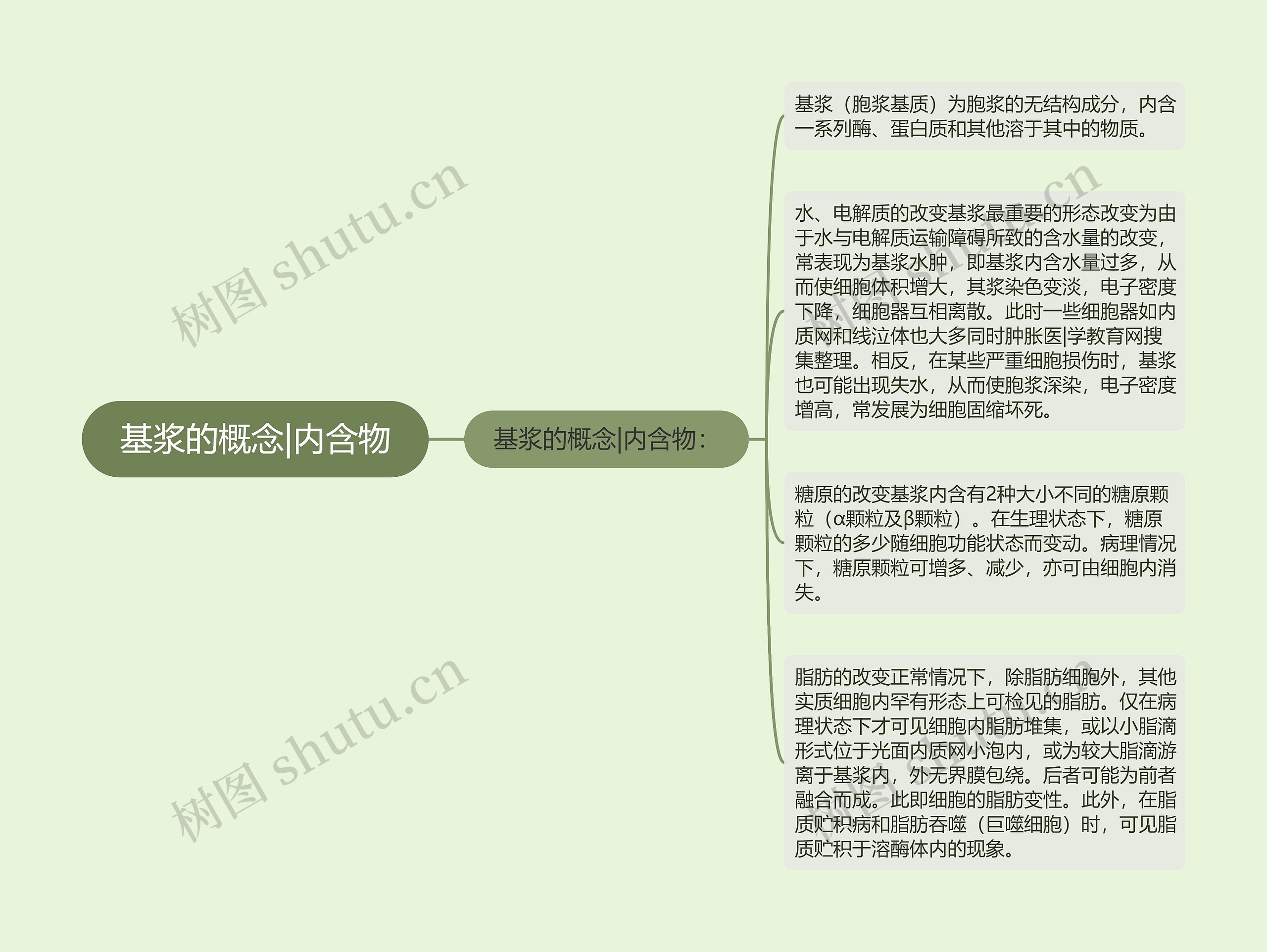 基浆的概念|内含物思维导图