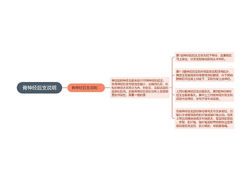 脊神经后支说明