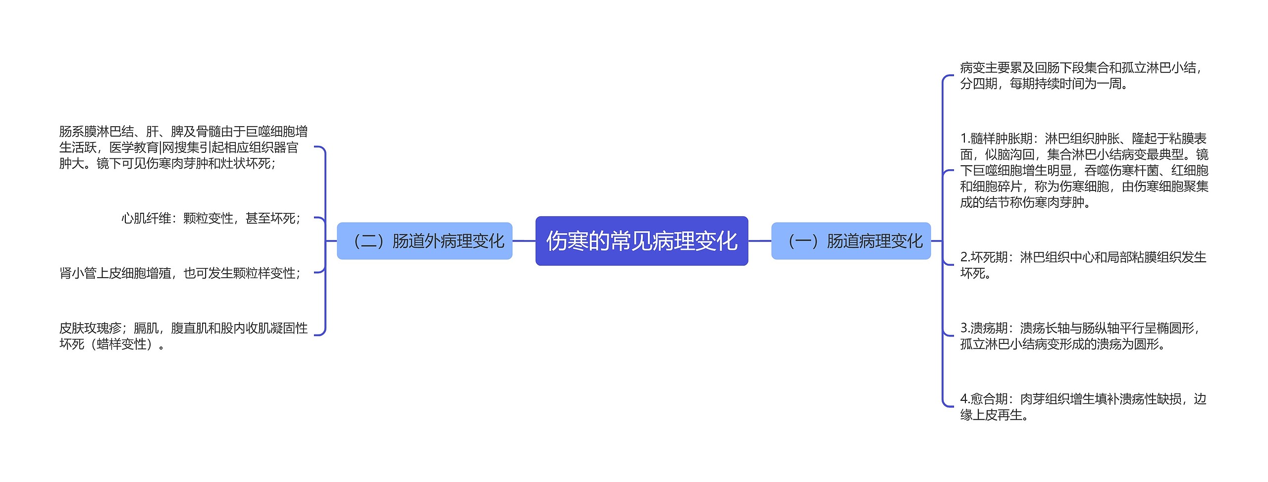 伤寒的常见病理变化
