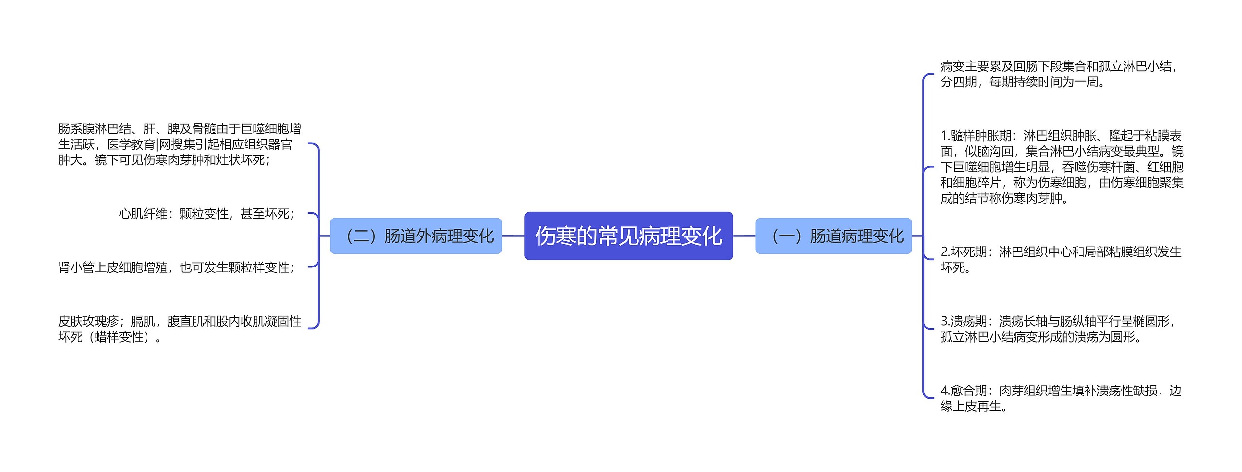 伤寒的常见病理变化思维导图