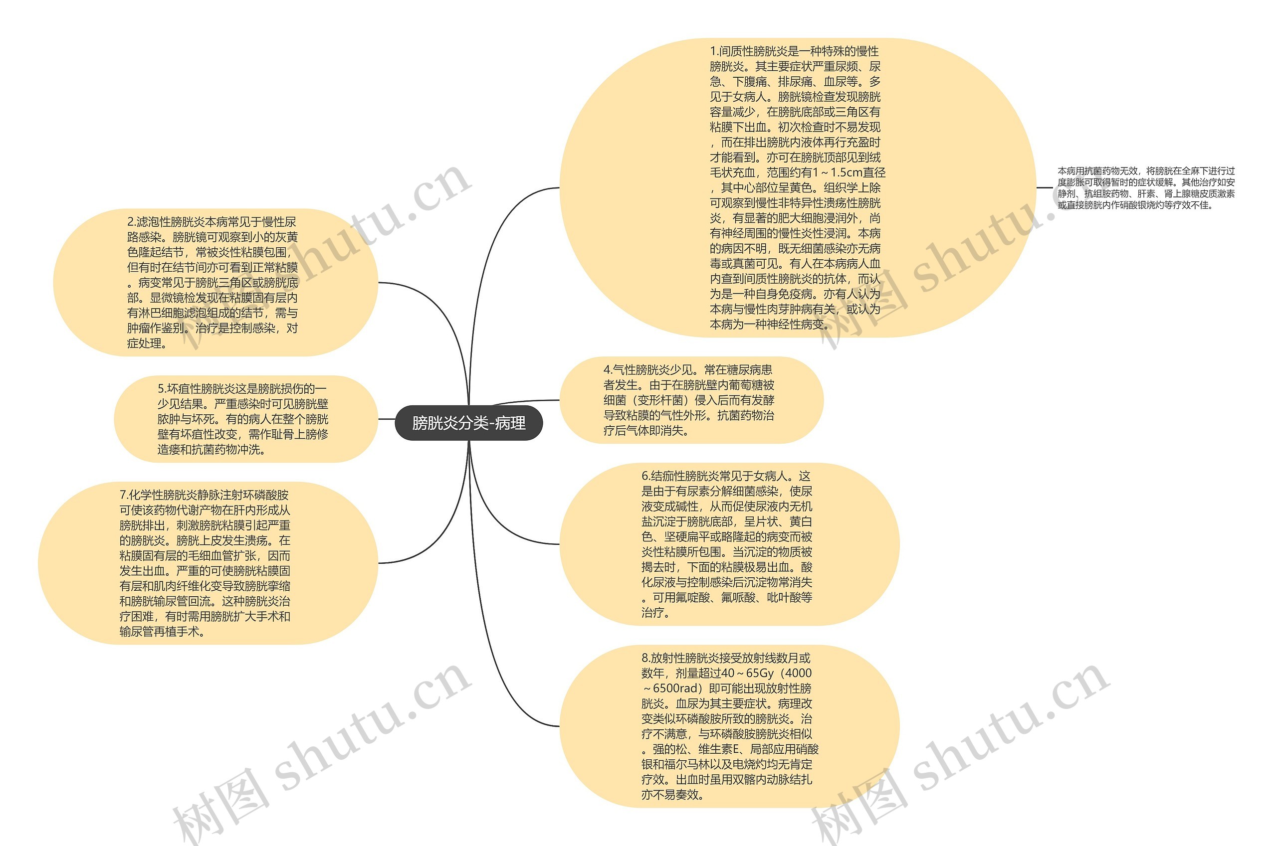 膀胱炎分类-病理思维导图