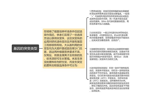 基因的突变类型