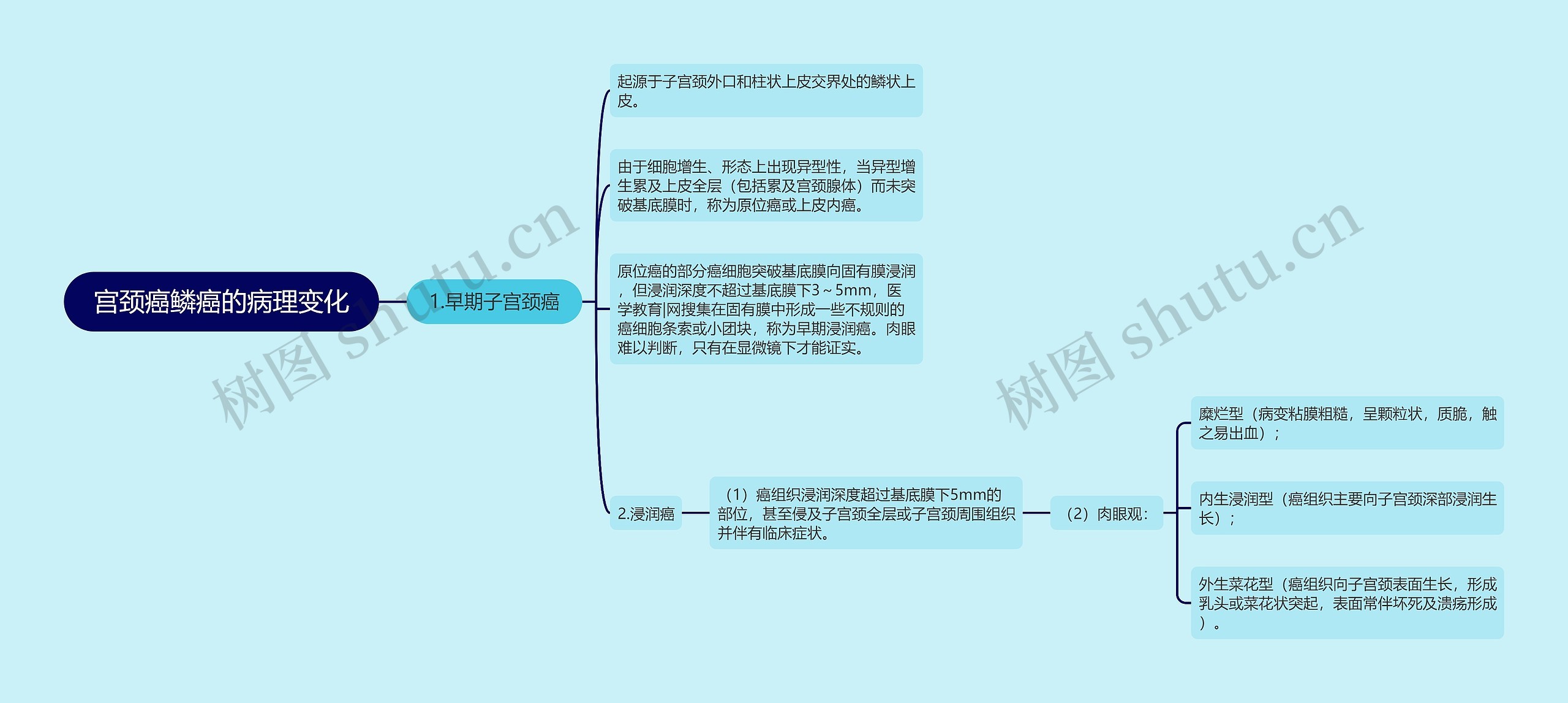 宫颈癌鳞癌的病理变化