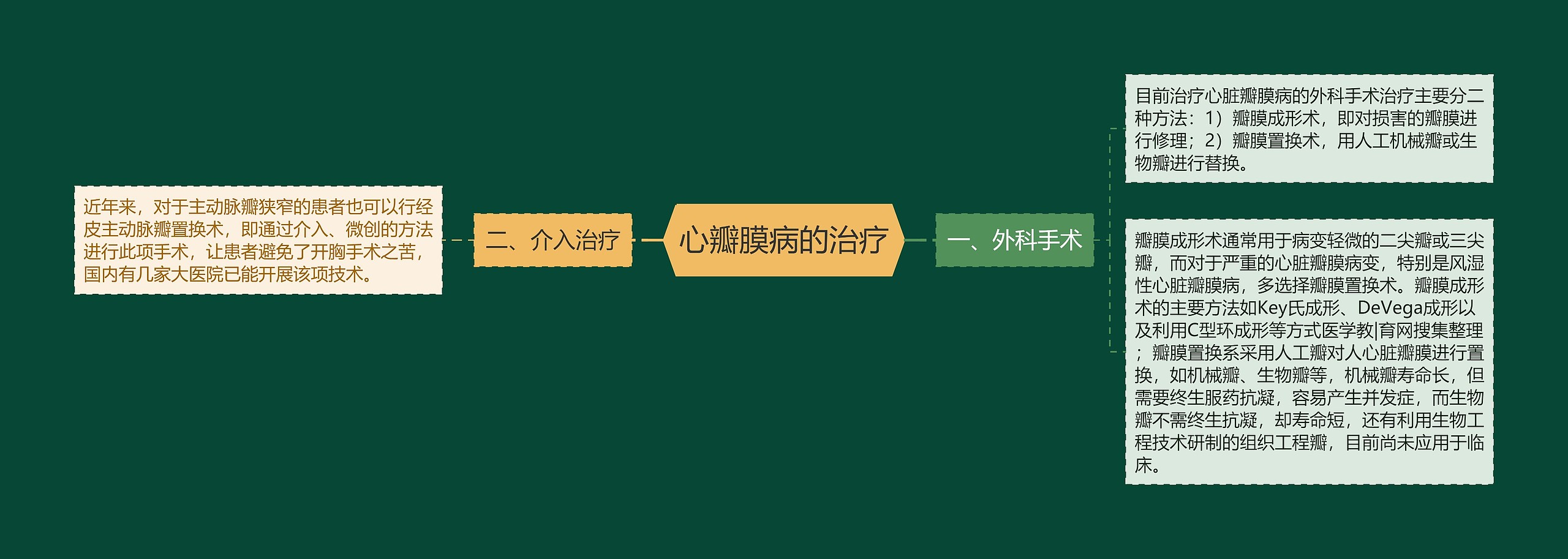 心瓣膜病的治疗 心瓣膜病的治疗