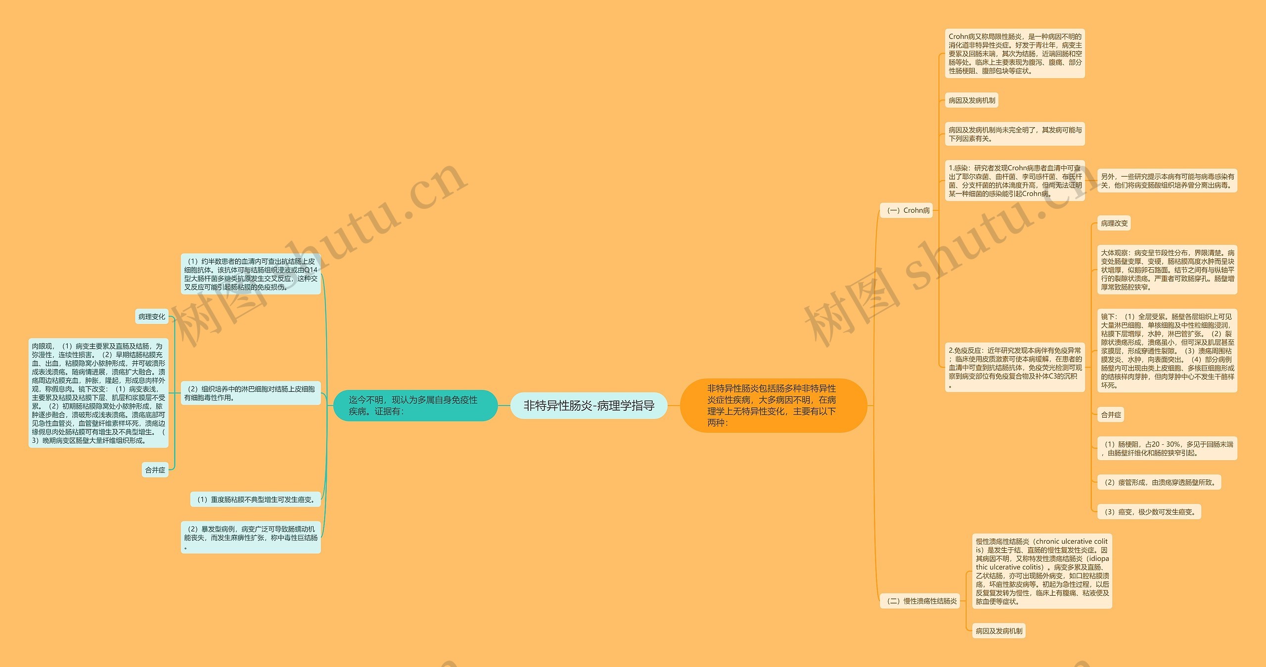非特异性肠炎-病理学指导 非特异性肠炎-病理学指导