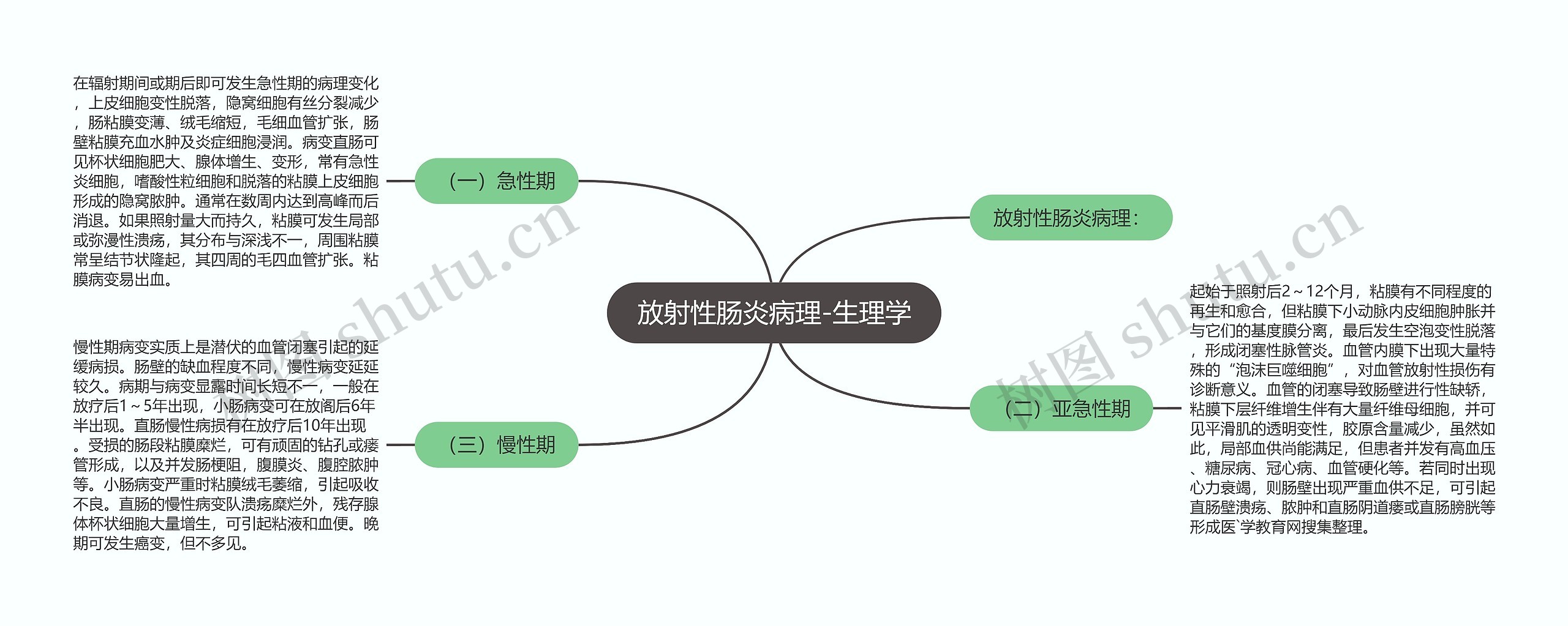 放射性肠炎病理-生理学