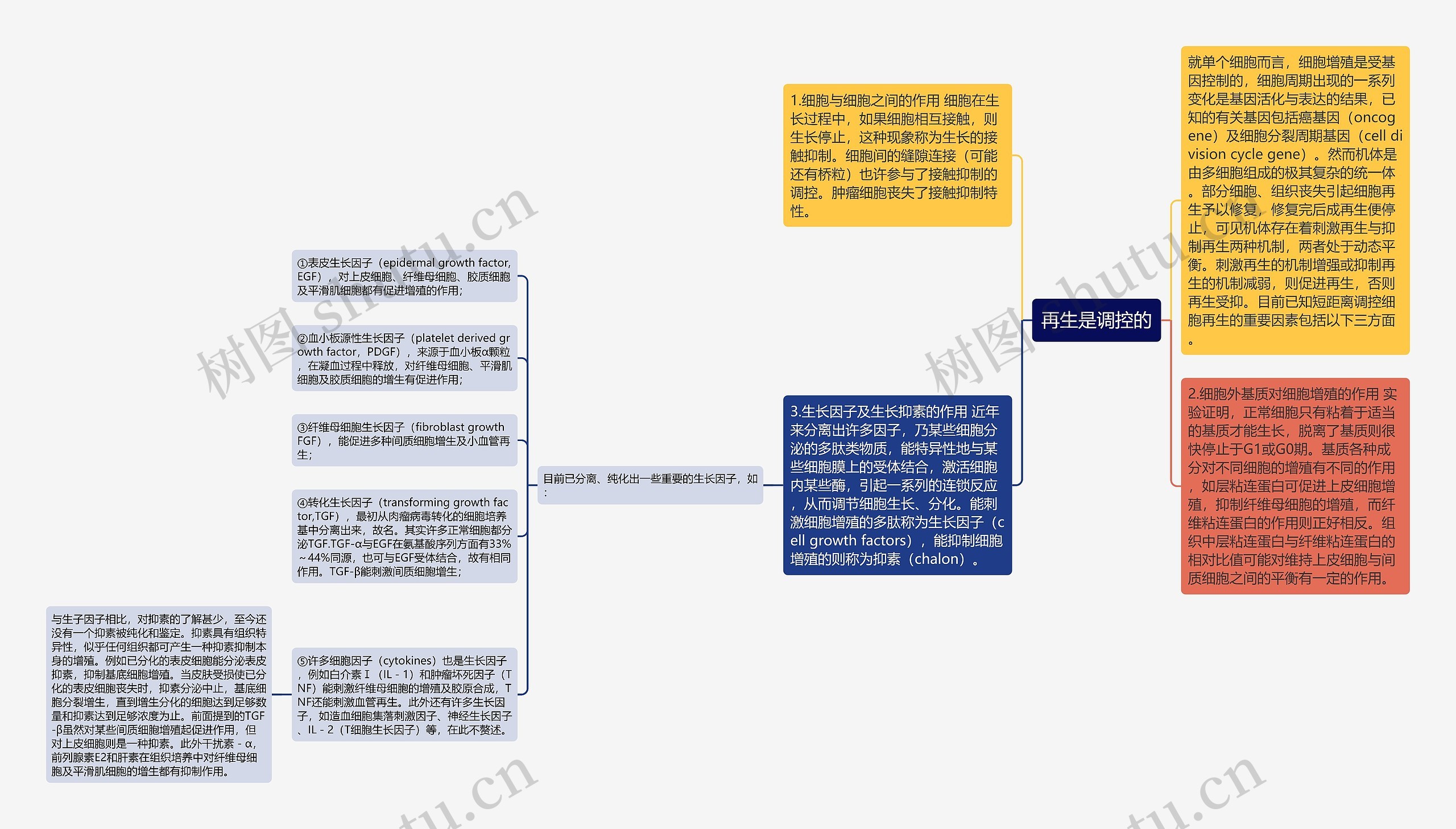 再生是调控的思维导图