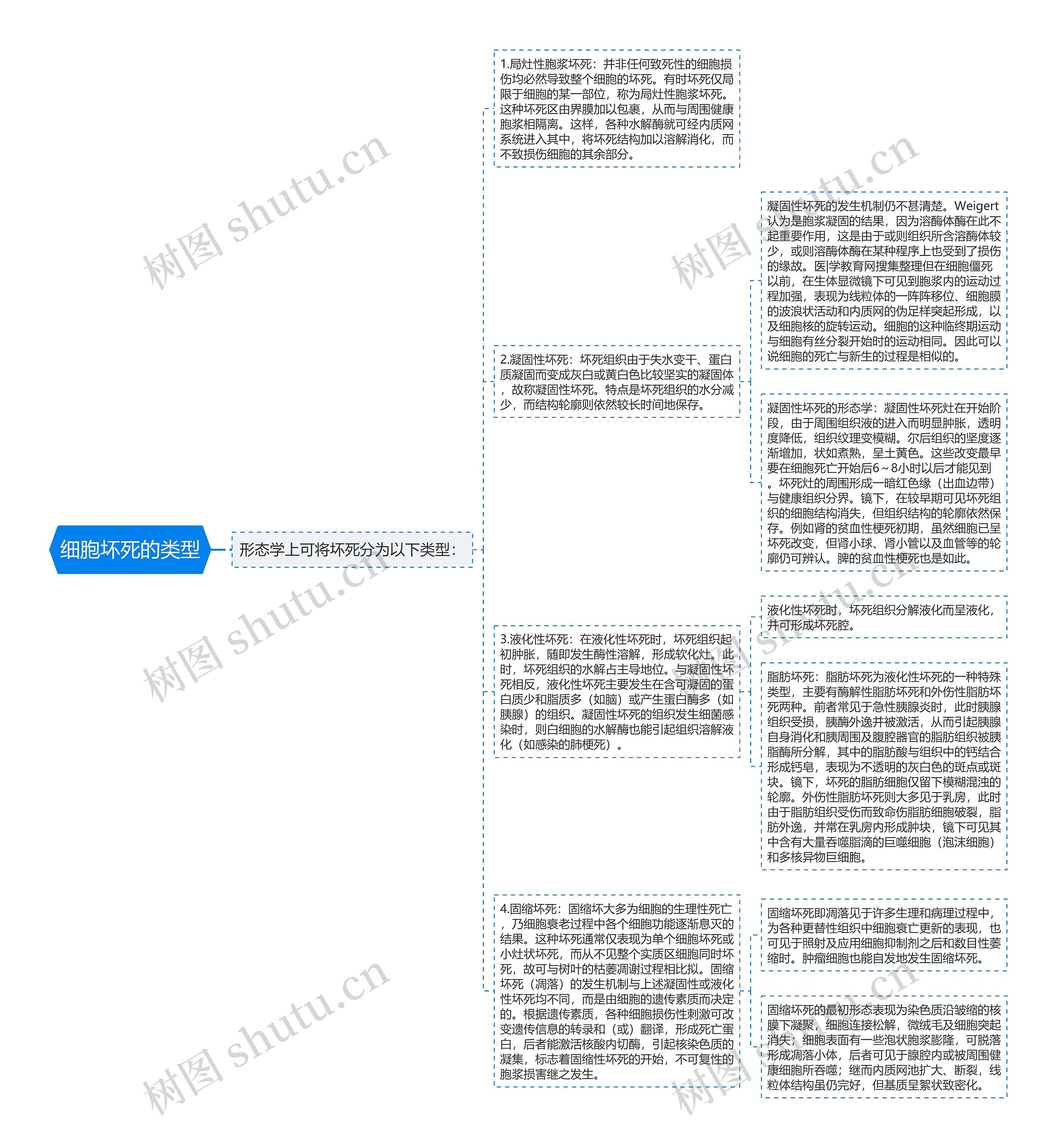 细胞坏死的类型思维导图