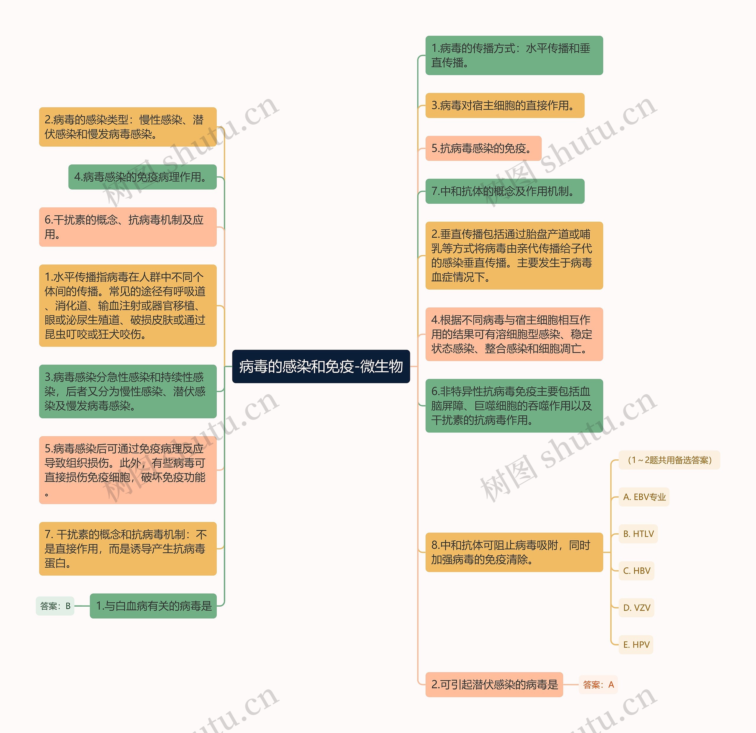 病毒的感染和免疫-微生物思维导图