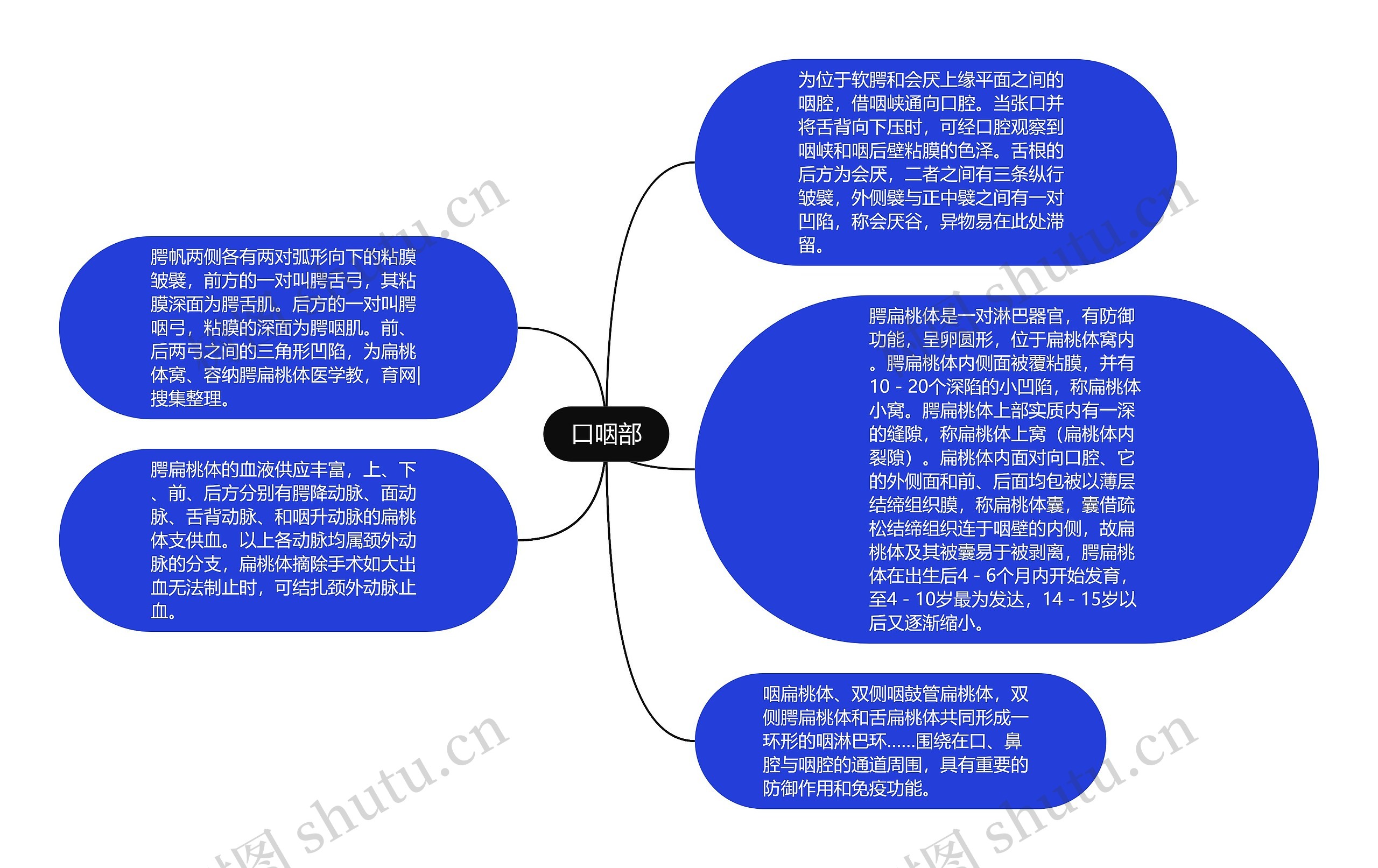 口咽部思维导图