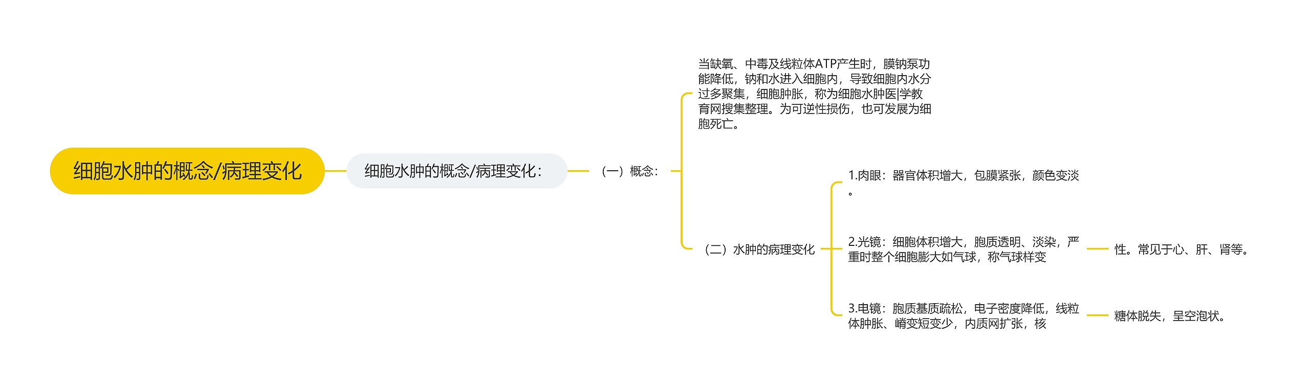 细胞水肿的概念/病理变化思维导图