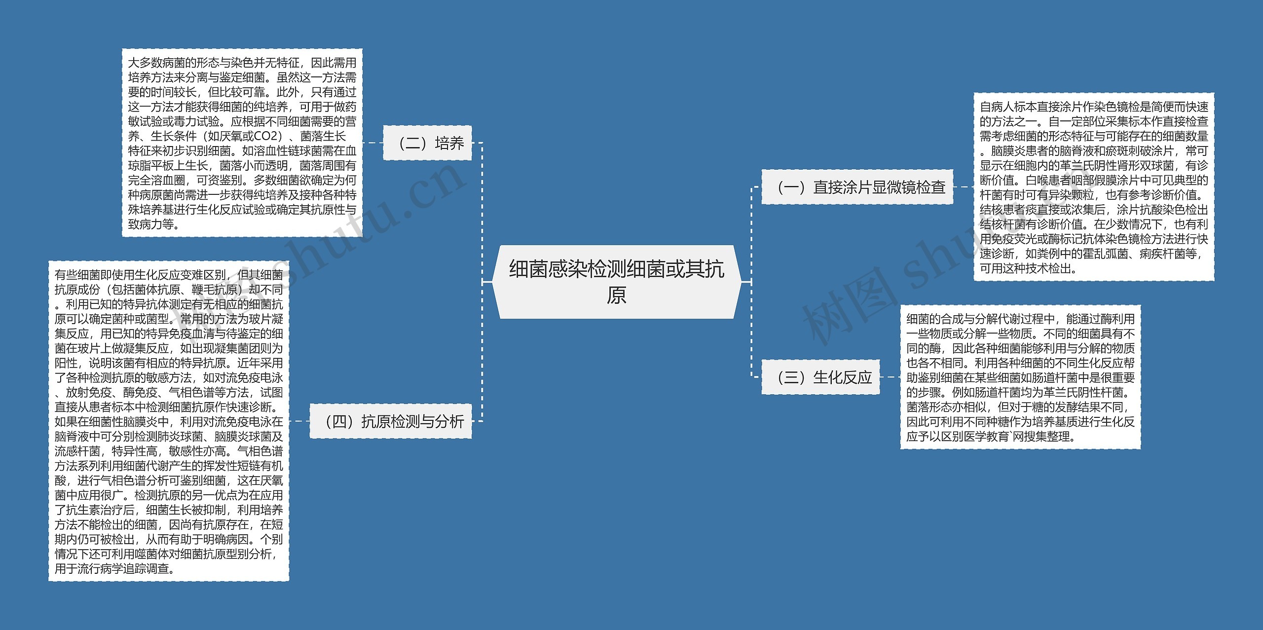 细菌感染检测细菌或其抗原