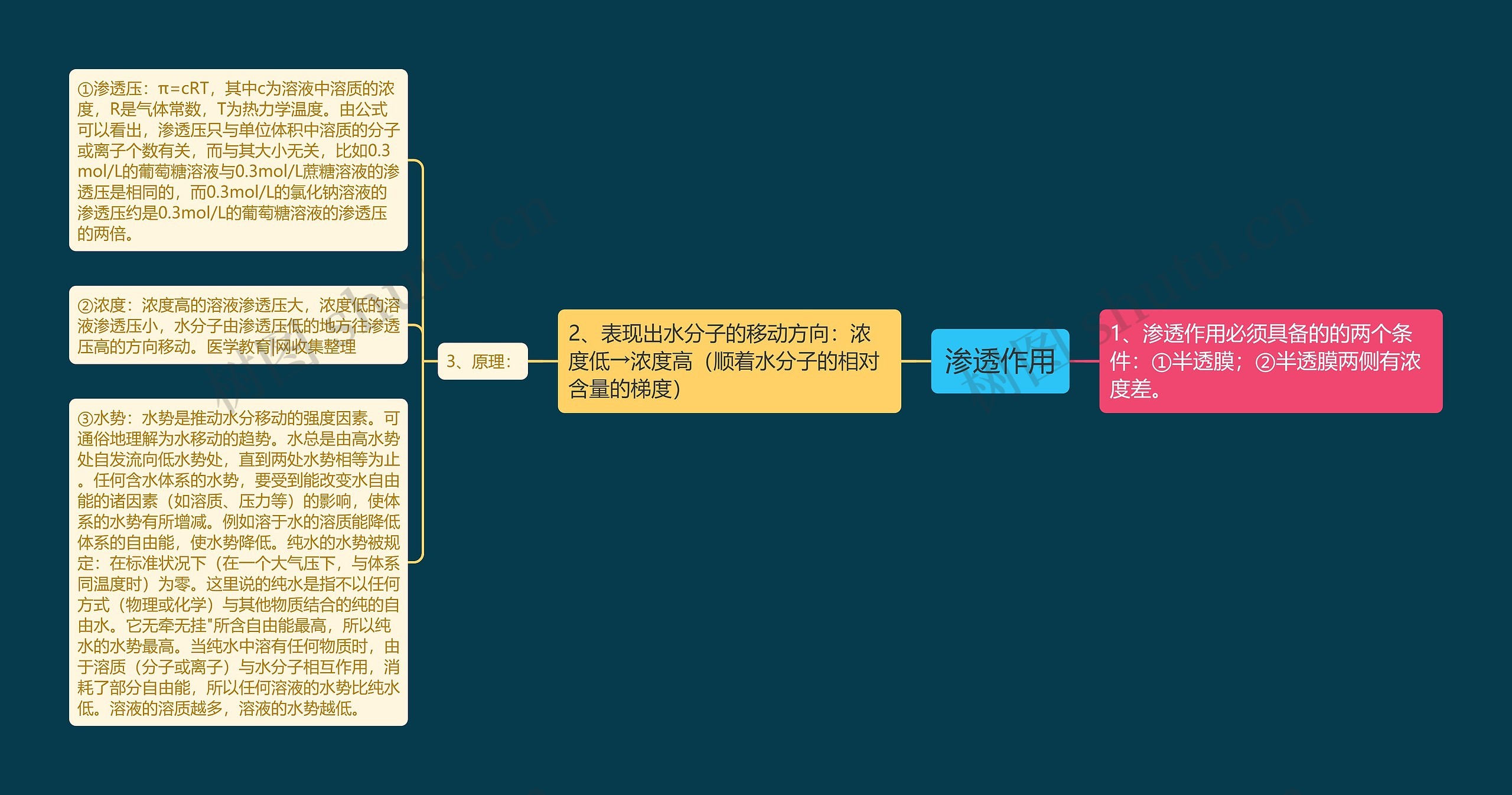 渗透作用思维导图