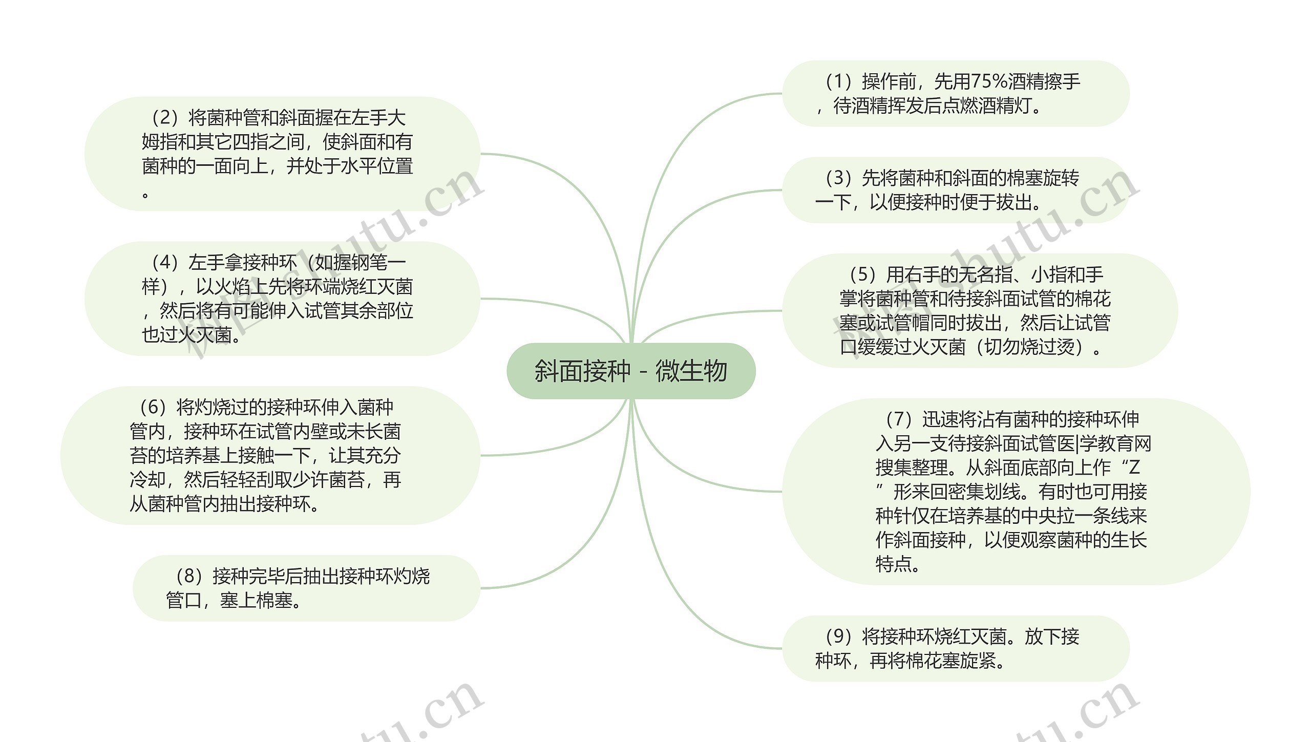 斜面接种－微生物思维导图