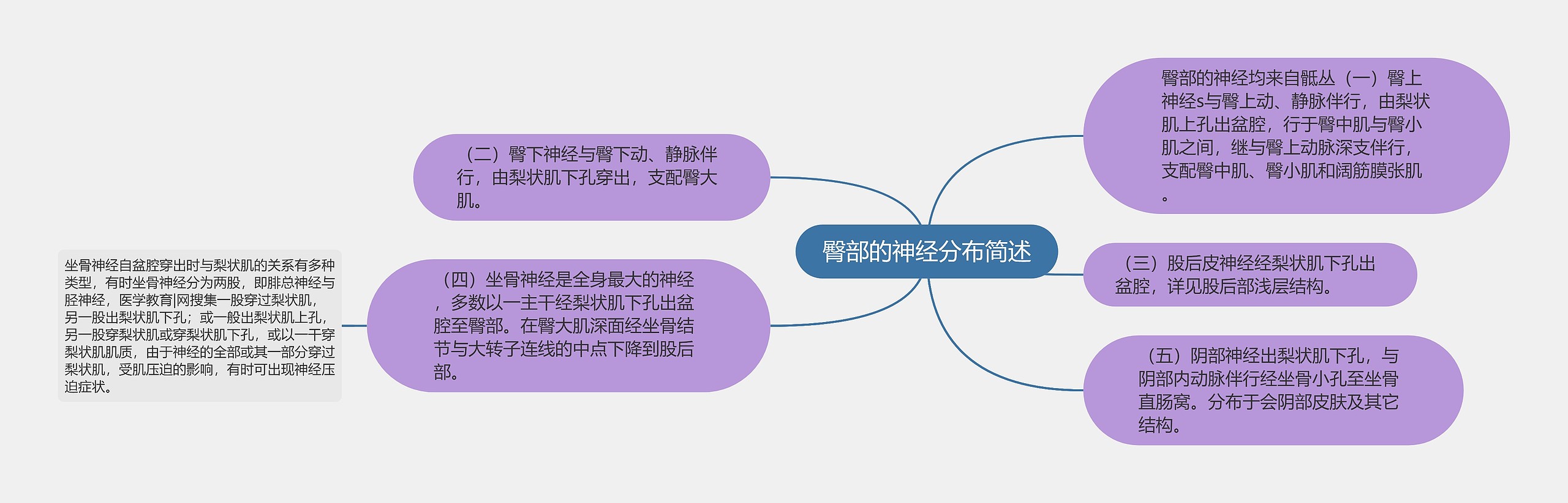 臀部的神经分布简述 臀部的神经分布简述
