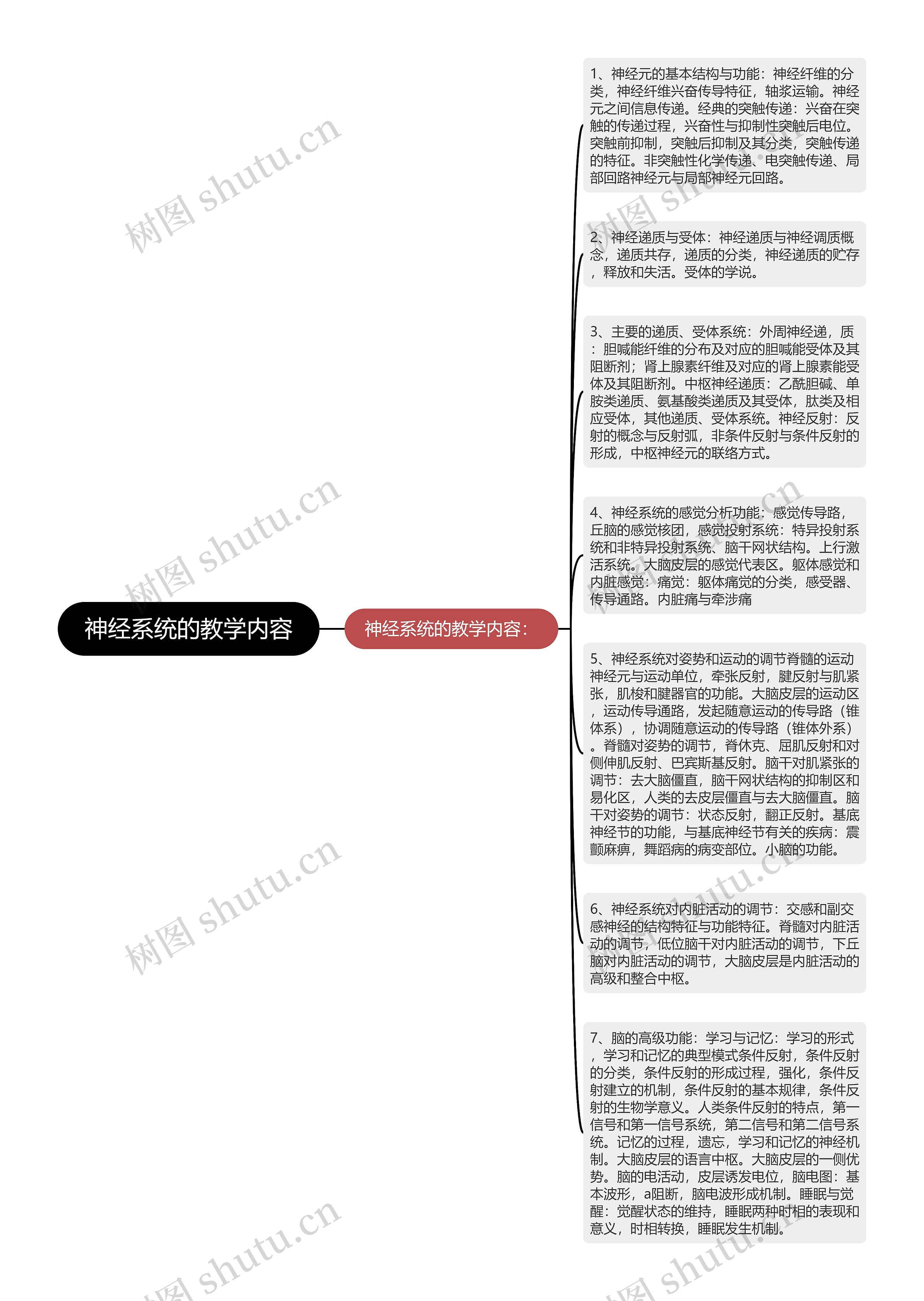 神经系统的教学内容