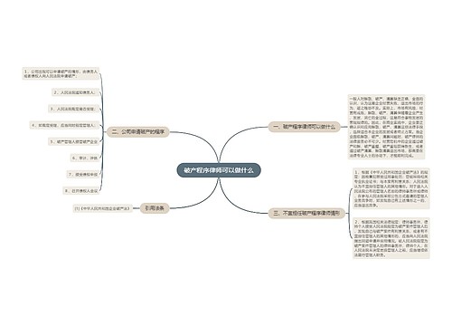 破产程序律师可以做什么