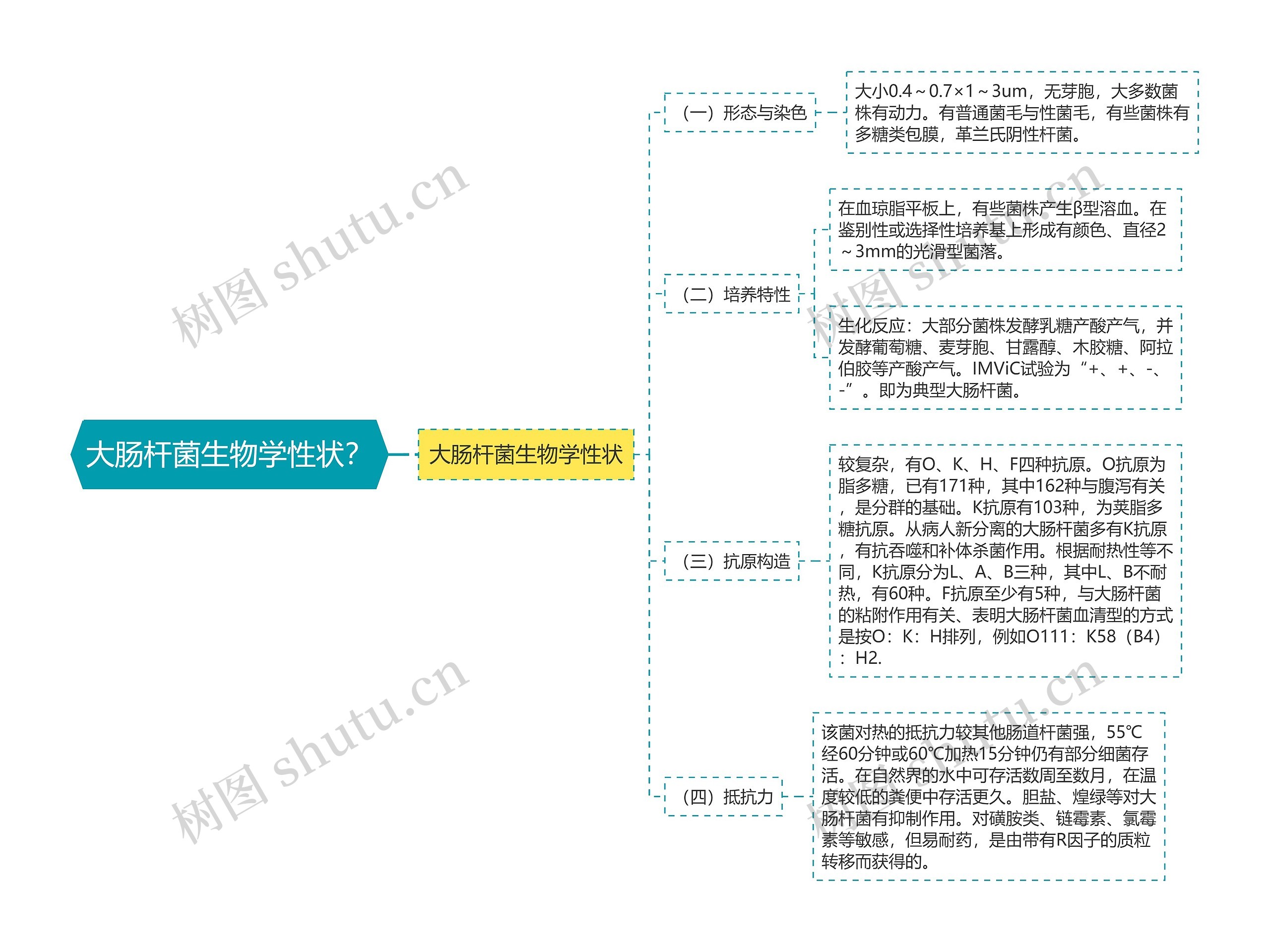 大肠杆菌生物学性状？