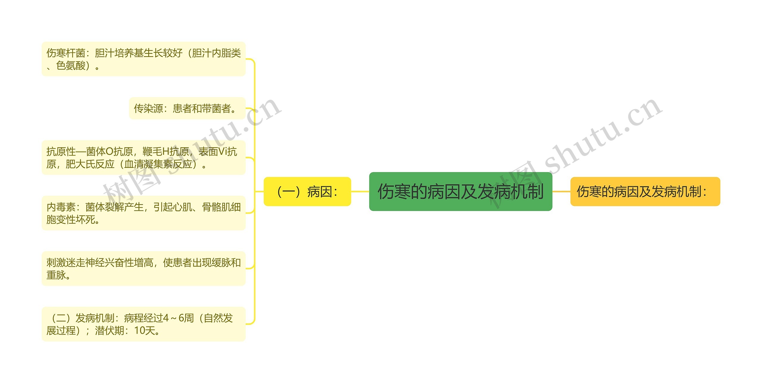 伤寒的病因及发病机制思维导图