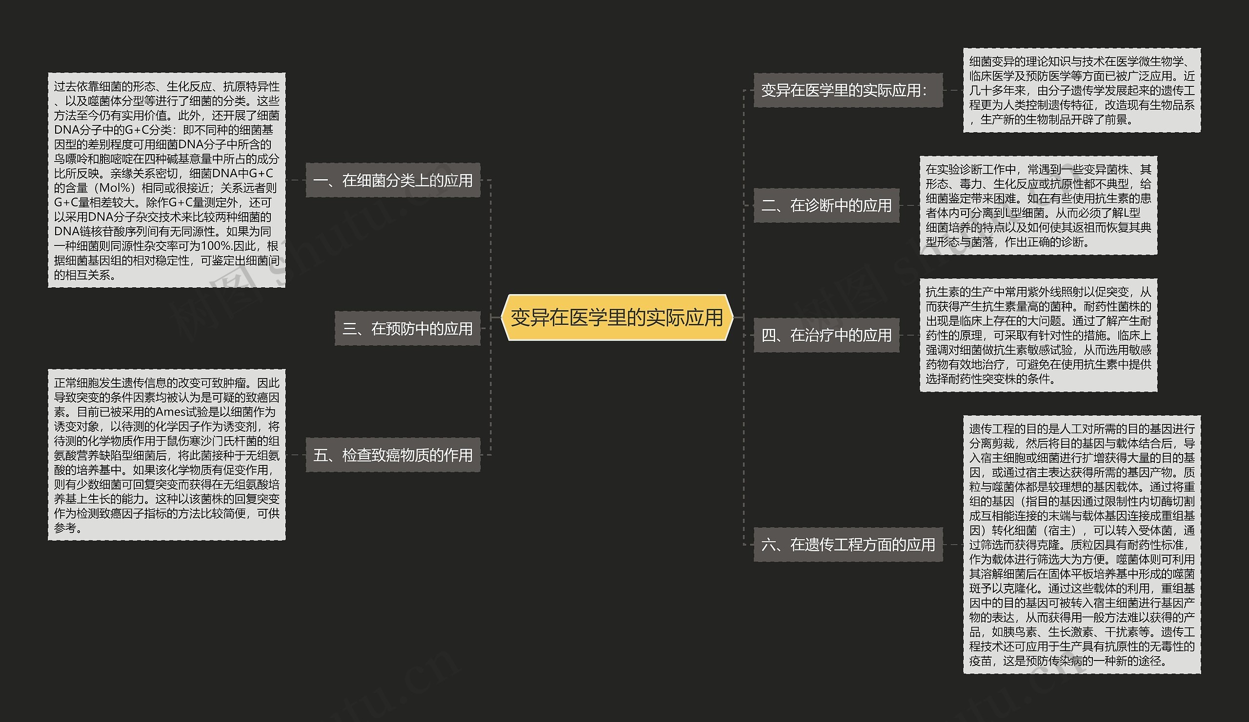 变异在医学里的实际应用思维导图