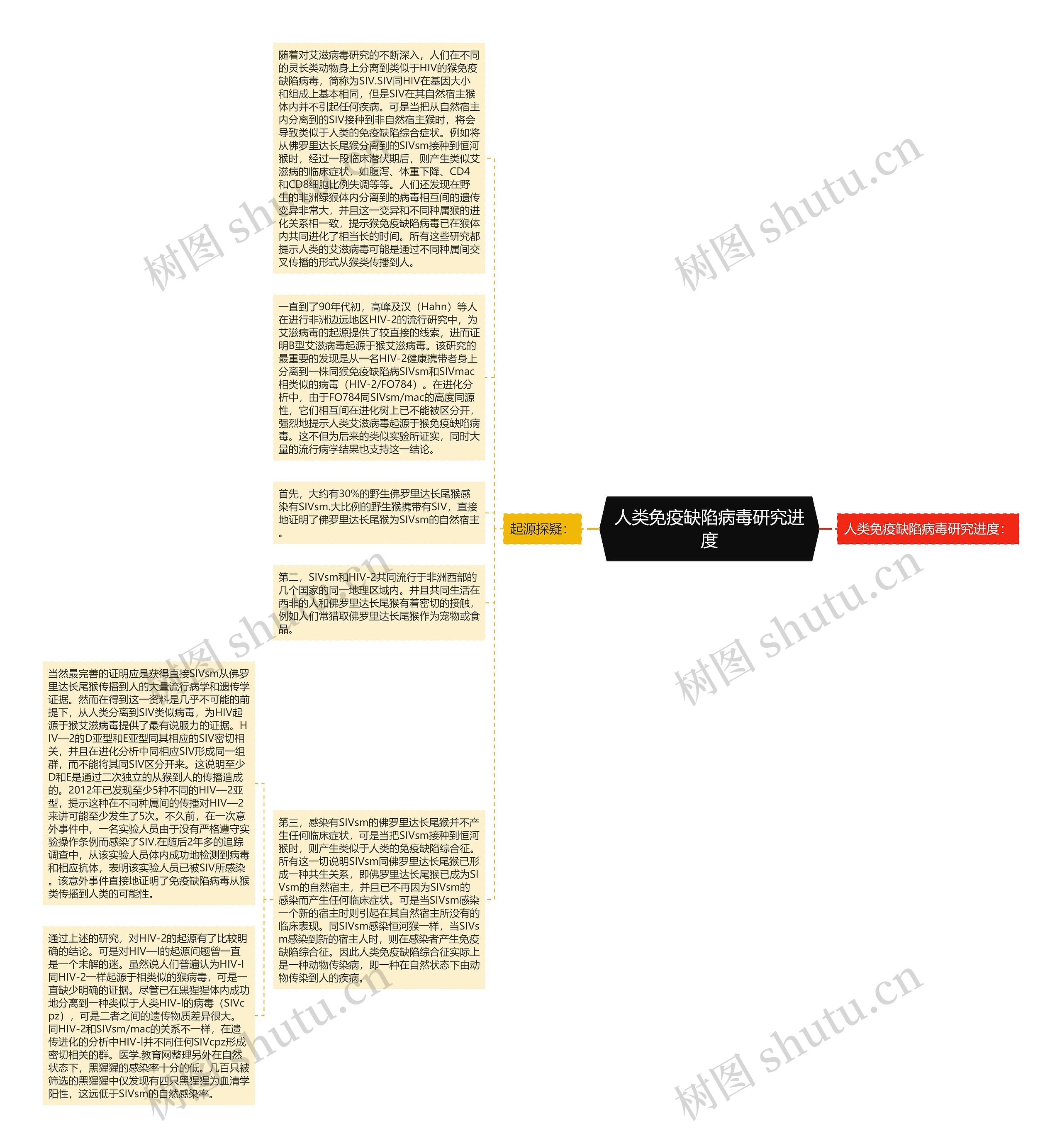 人类免疫缺陷病毒研究进度思维导图