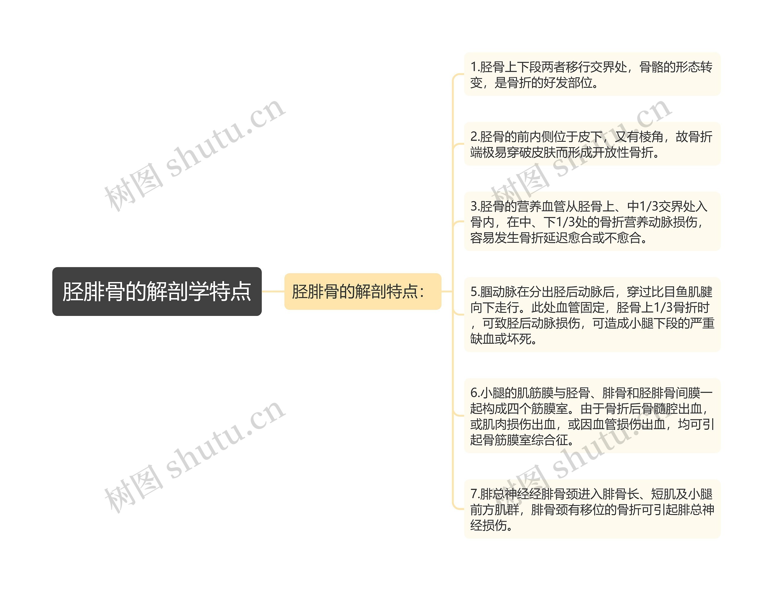 胫腓骨的解剖学特点 胫腓骨的解剖学特点