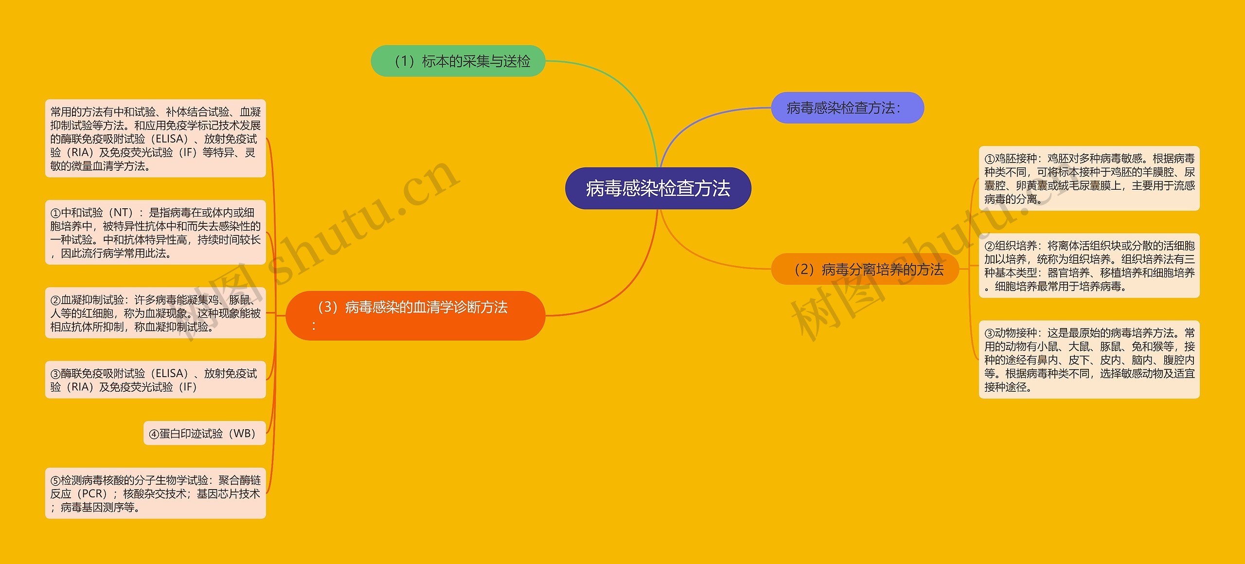 病毒感染检查方法 病毒感染检查方法
