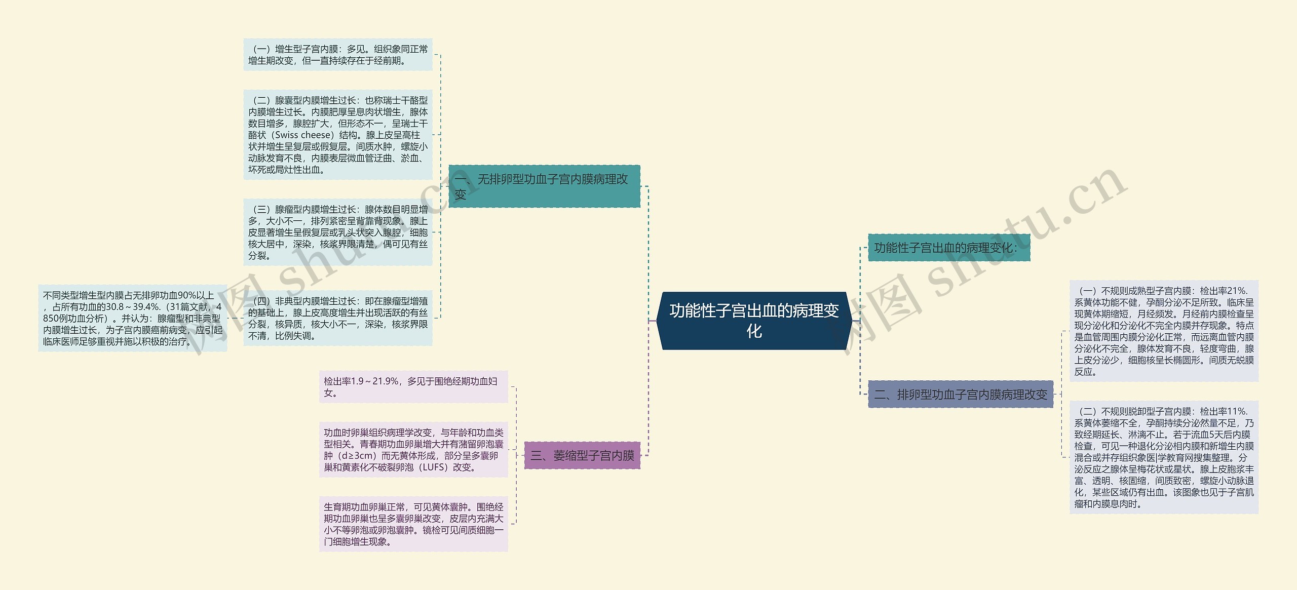 功能性子宫出血的病理变化思维导图