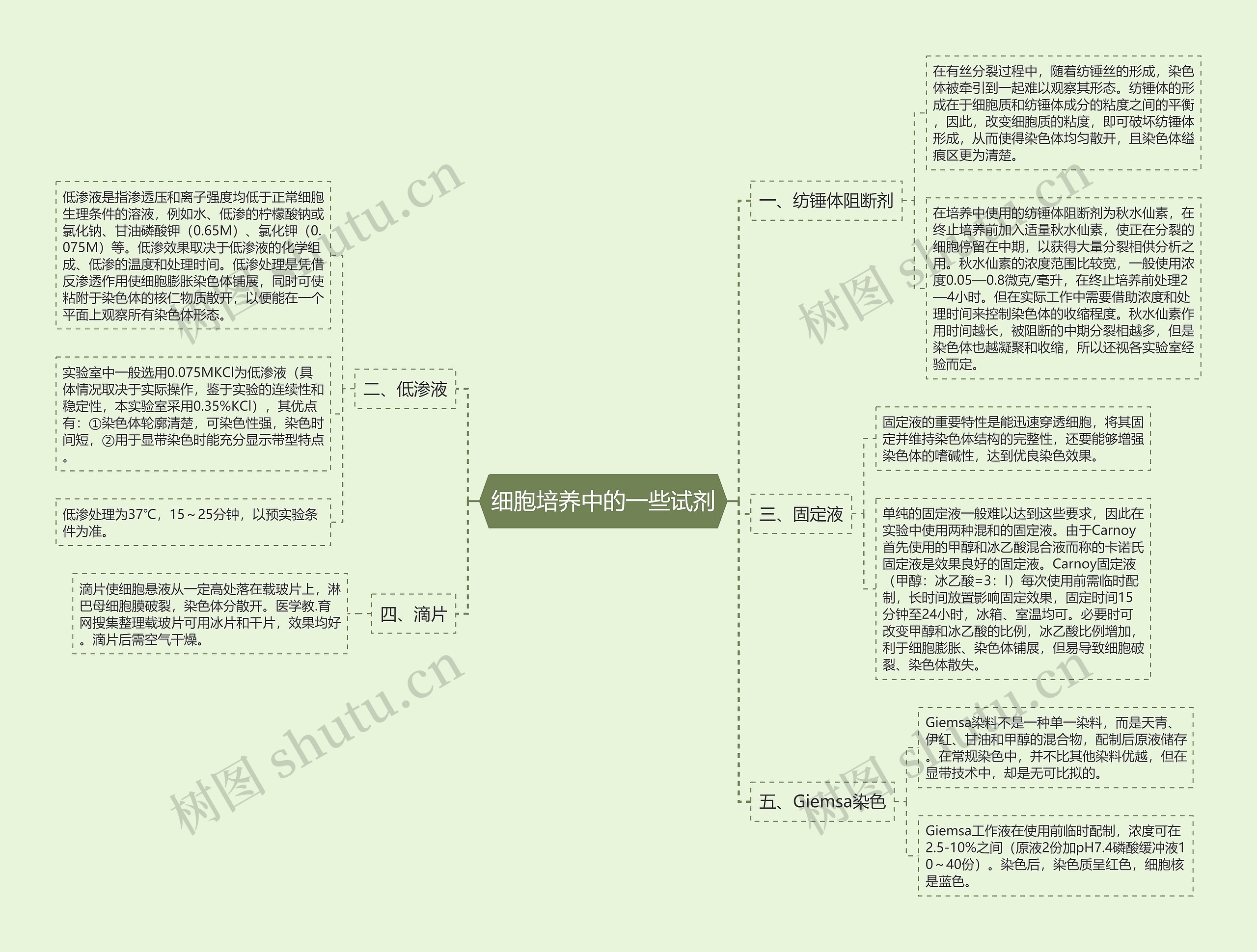 细胞培养中的一些试剂思维导图