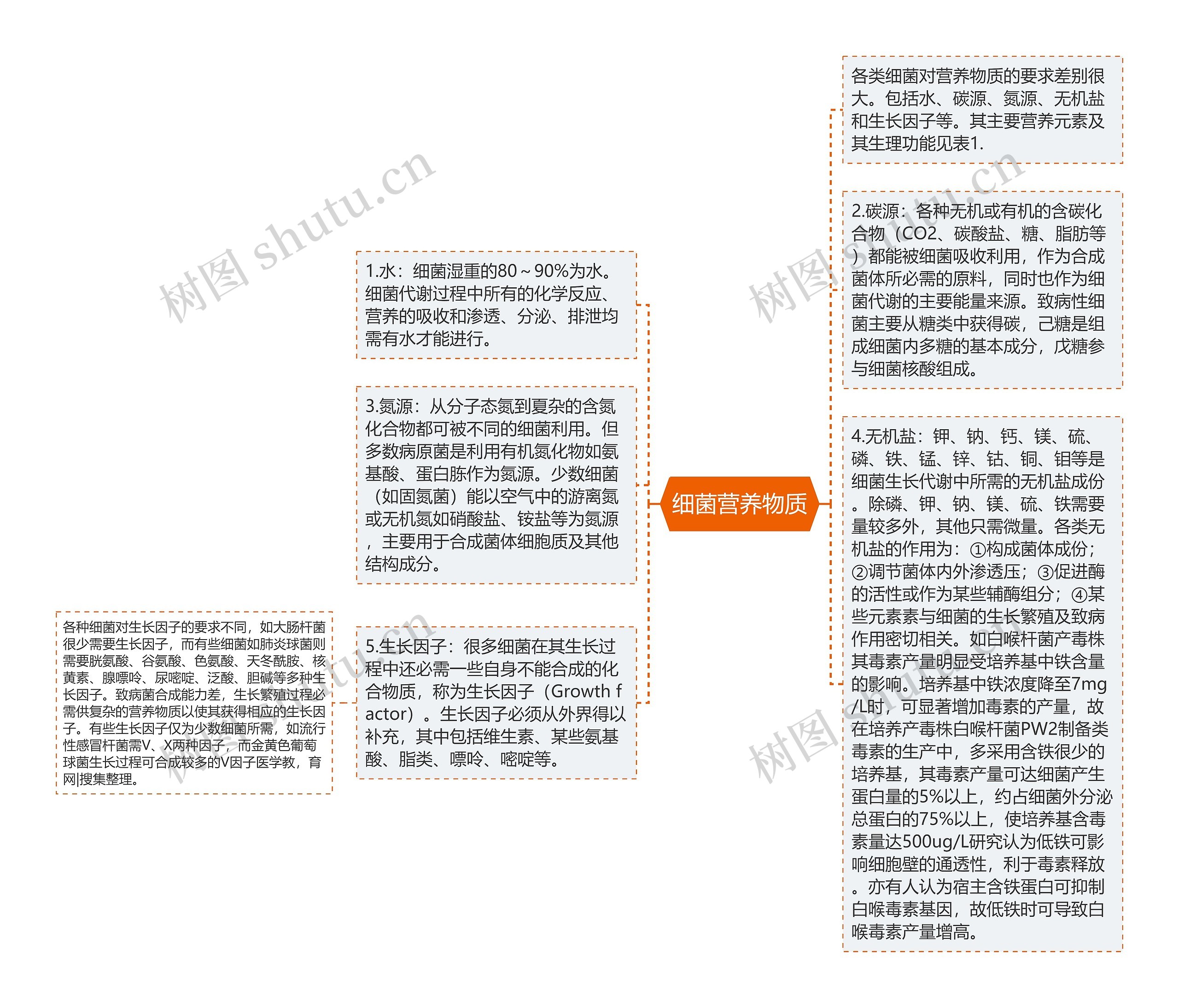 细菌营养物质思维导图