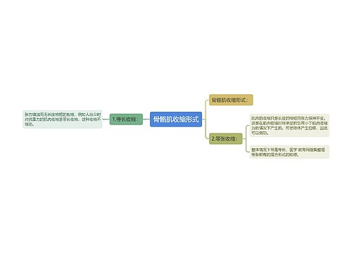 骨骼肌收缩形式