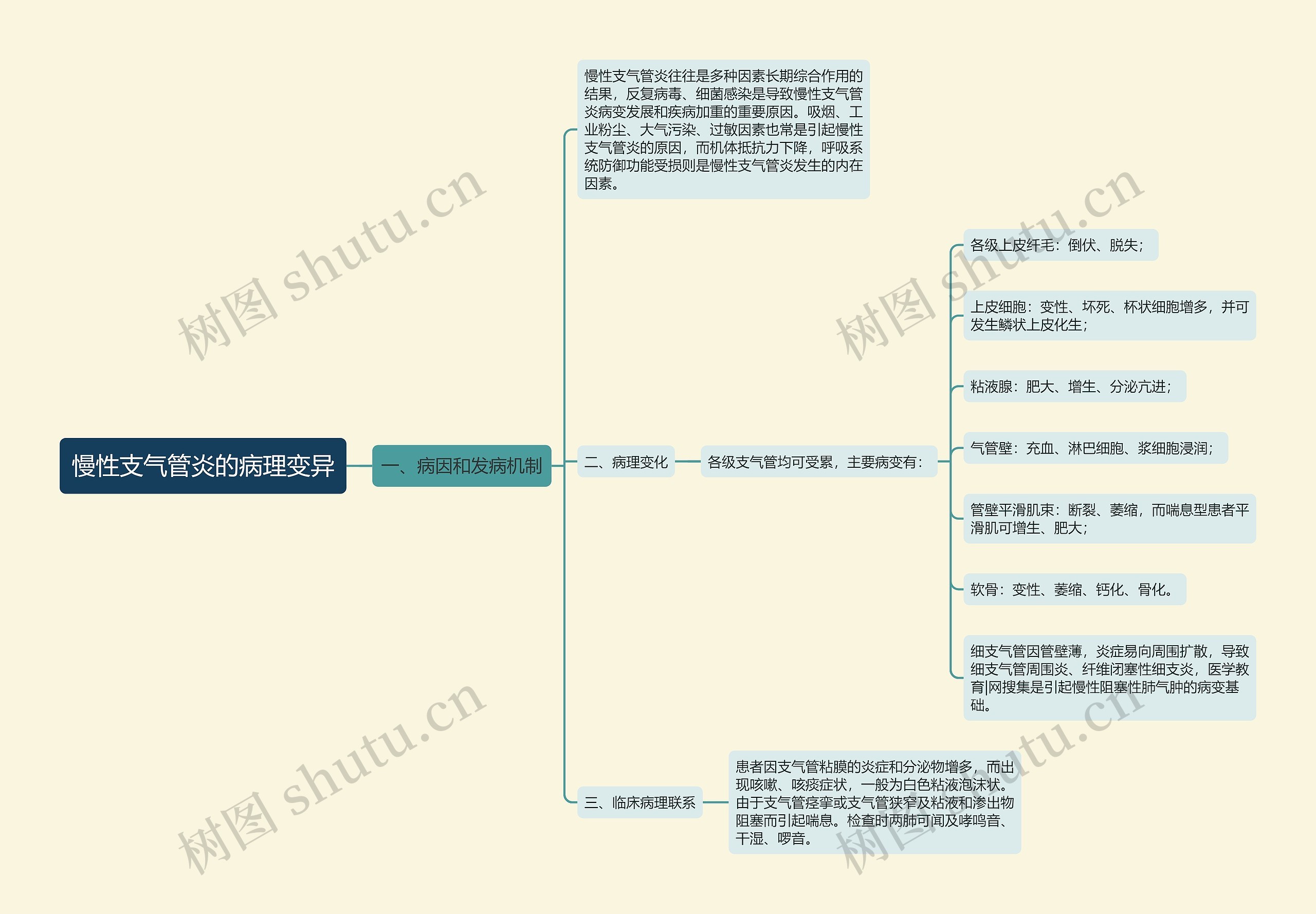 慢性支气管炎的病理变异