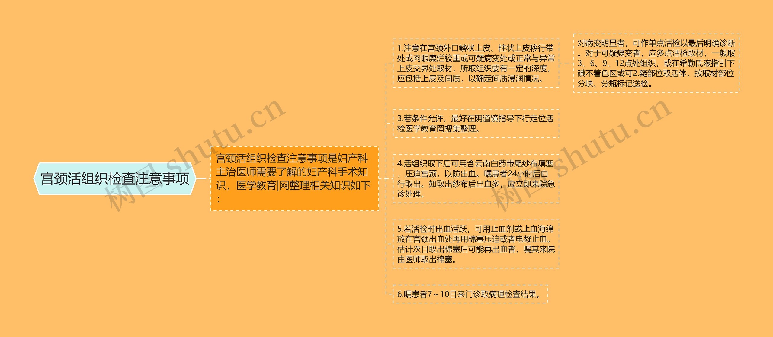 宫颈活组织检查注意事项