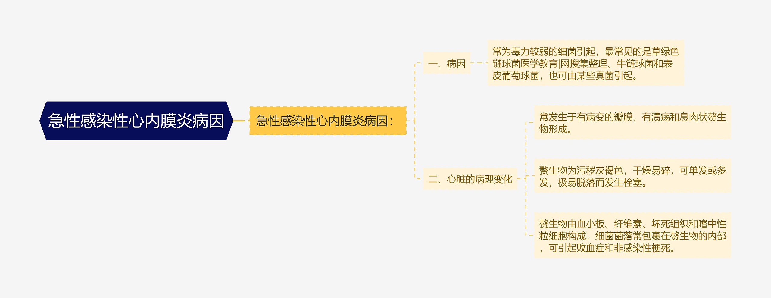 急性感染性心内膜炎病因思维导图